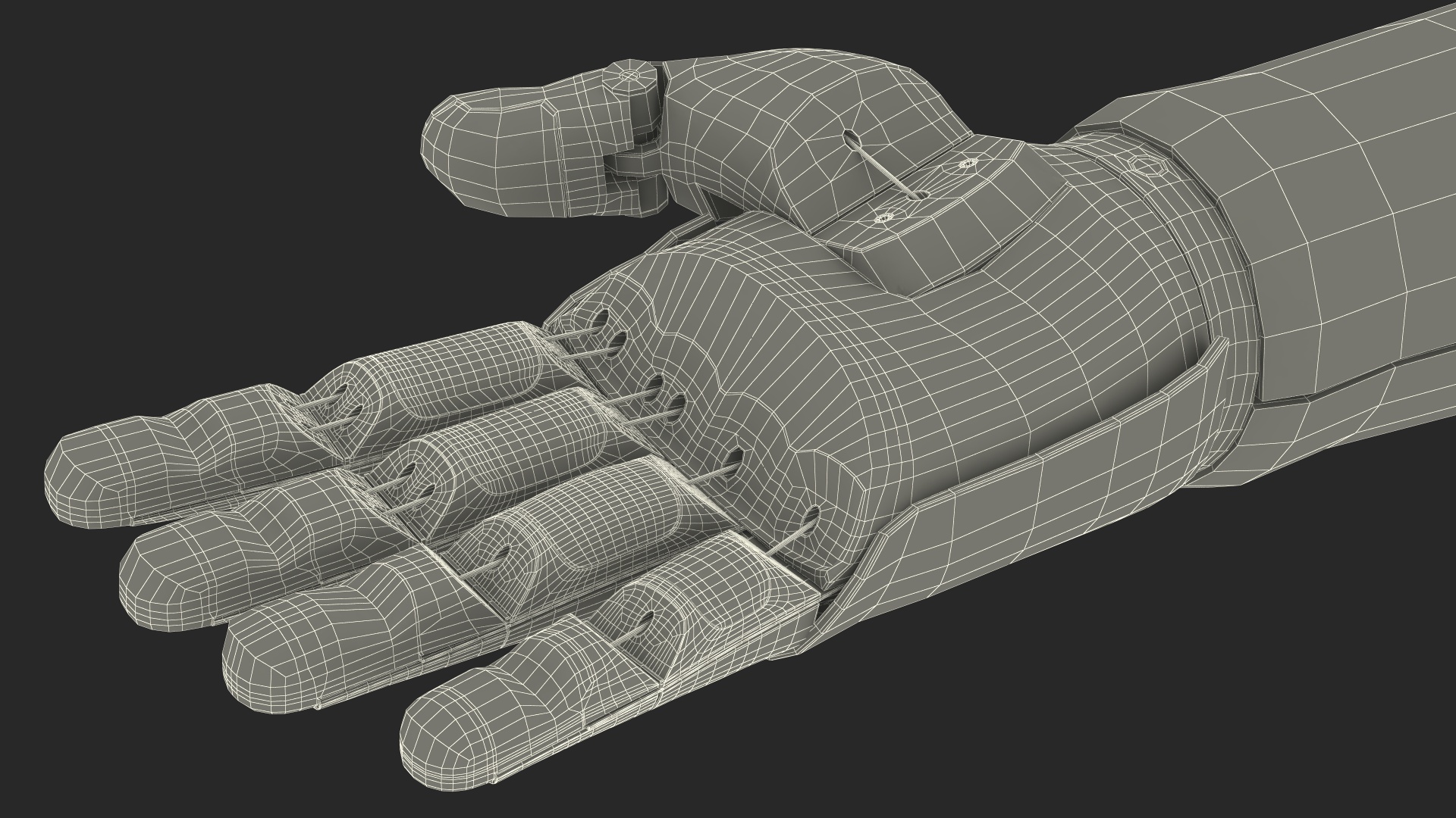 3D Prosthetic Arm Rigged