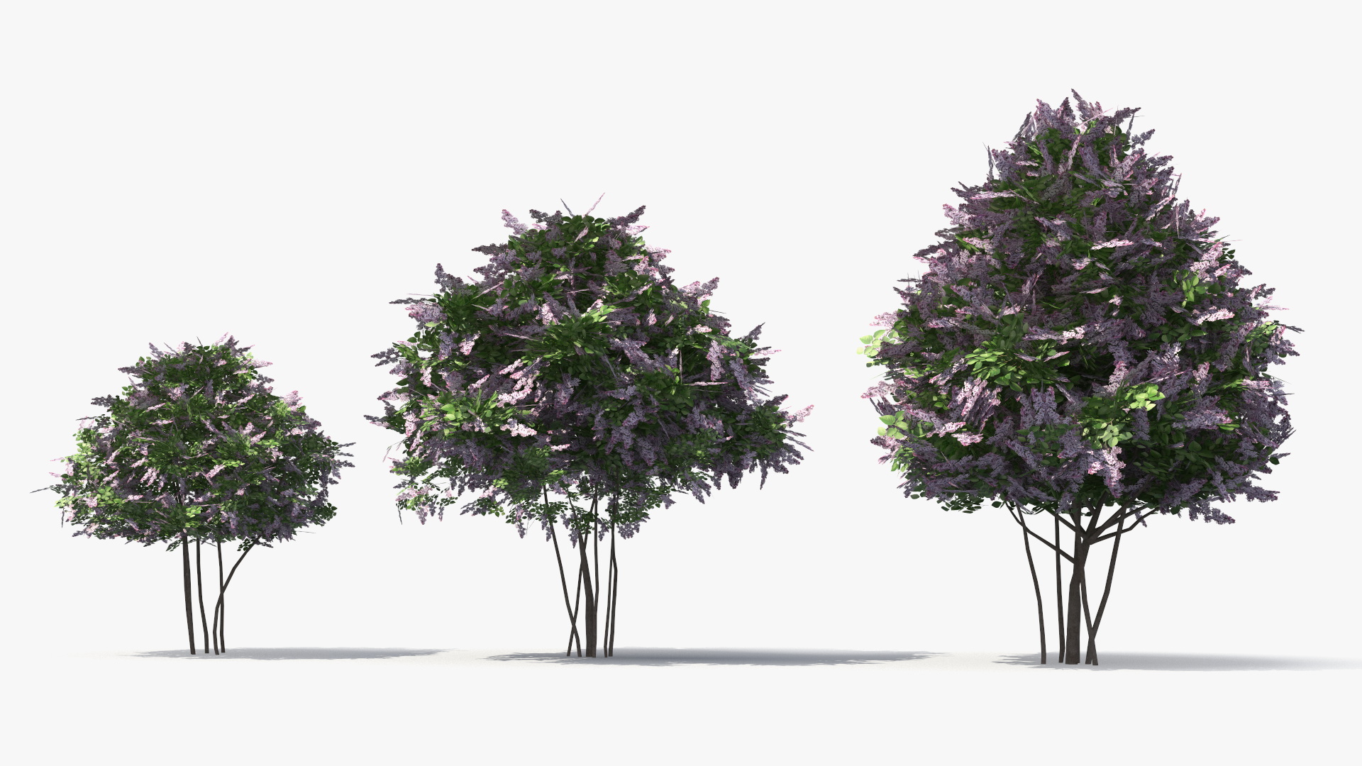 Lilac Bushes Set, view 4