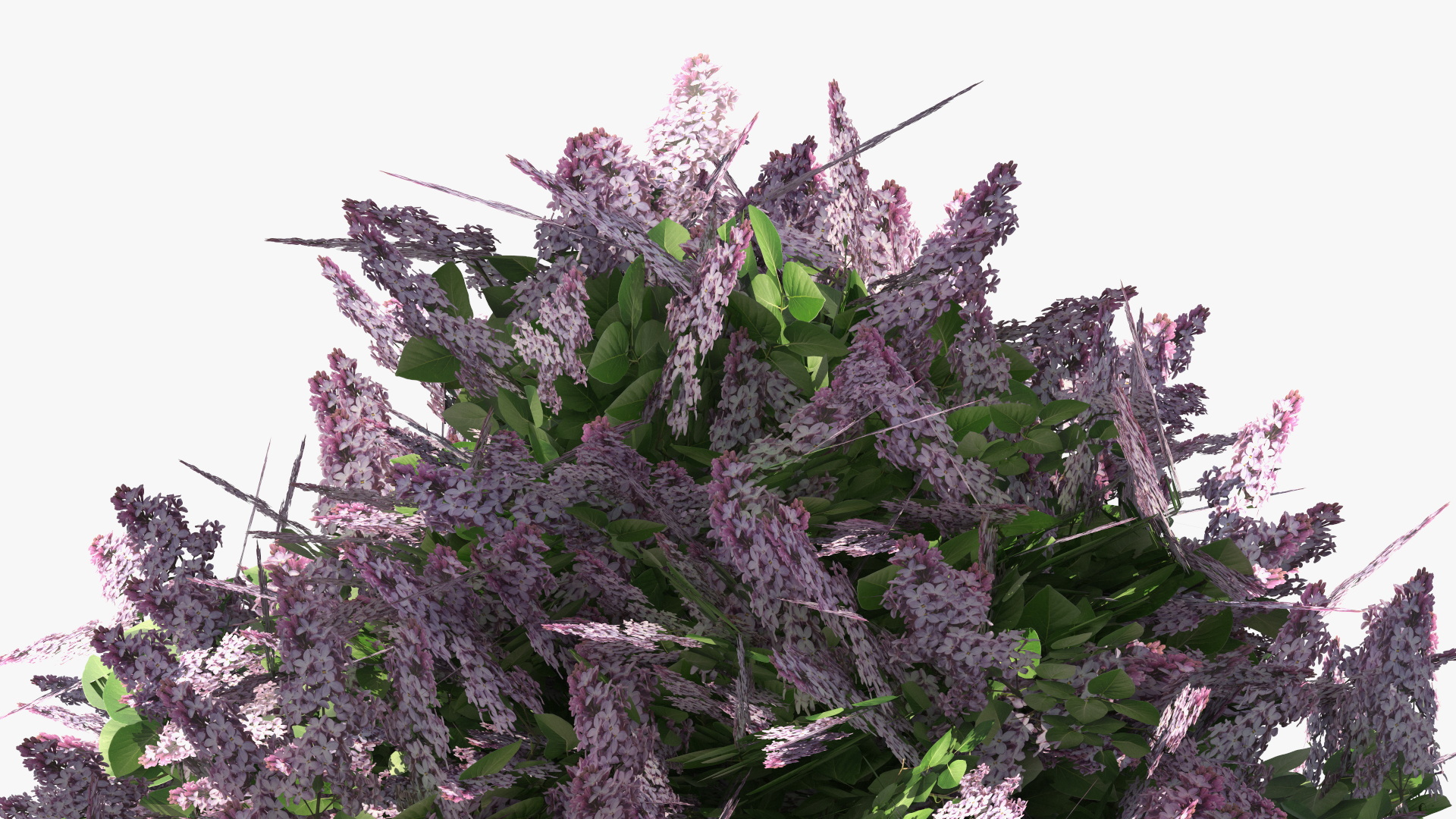 Lilac Bushes Set, view 7