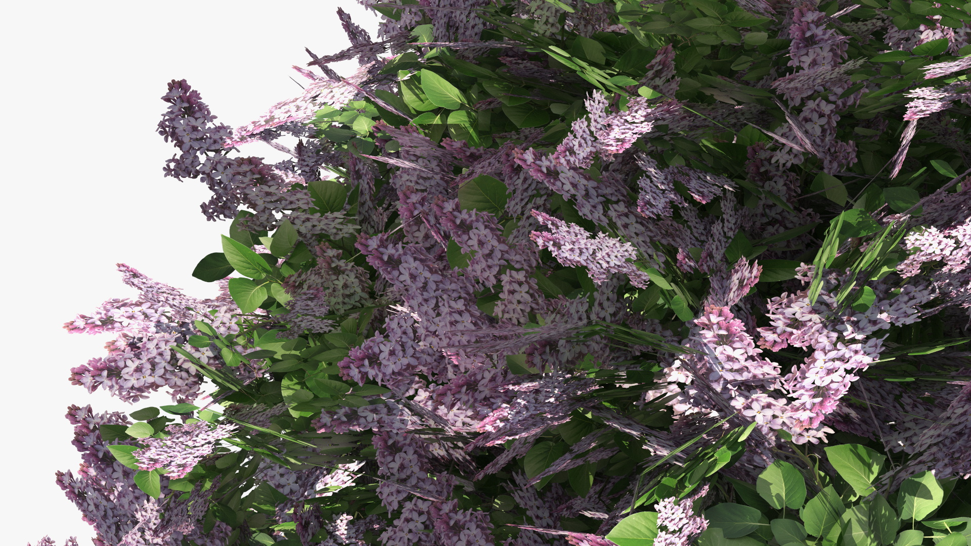Lilac Bushes Set, view 8