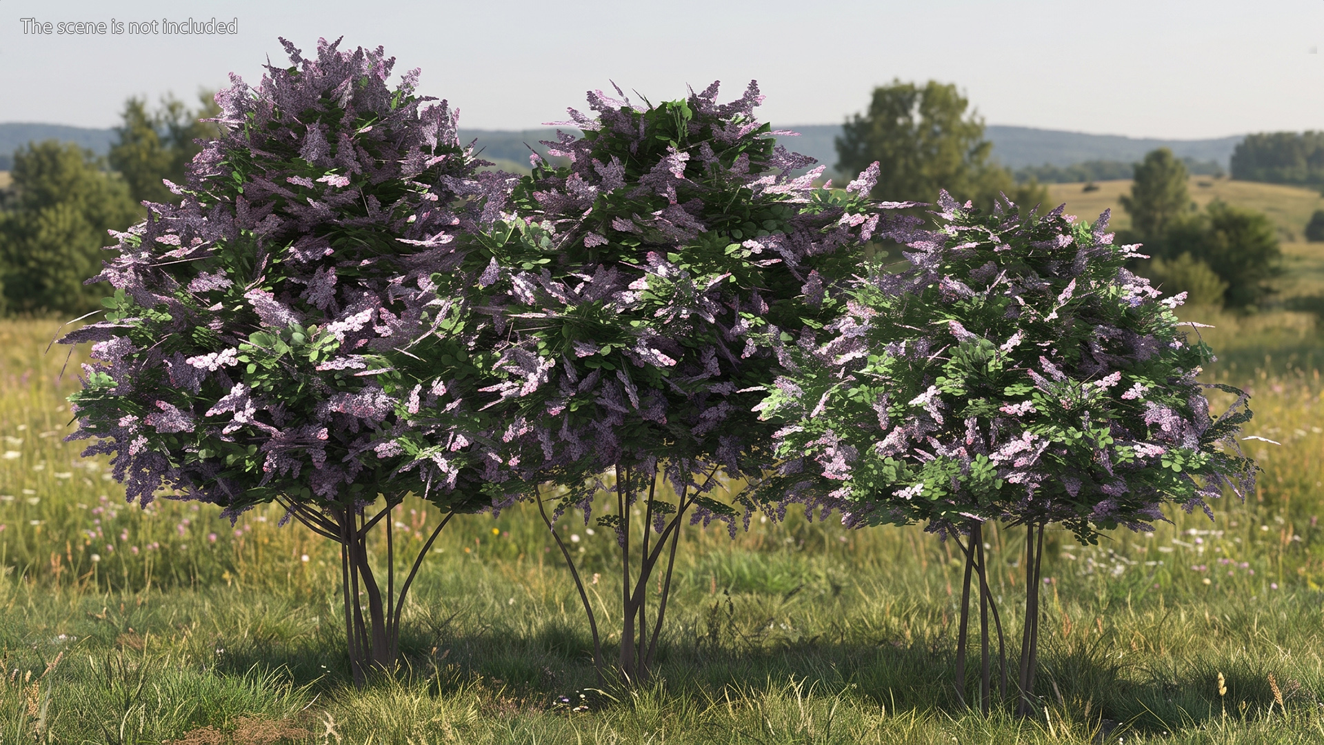 Lilac Bushes Set, view 3