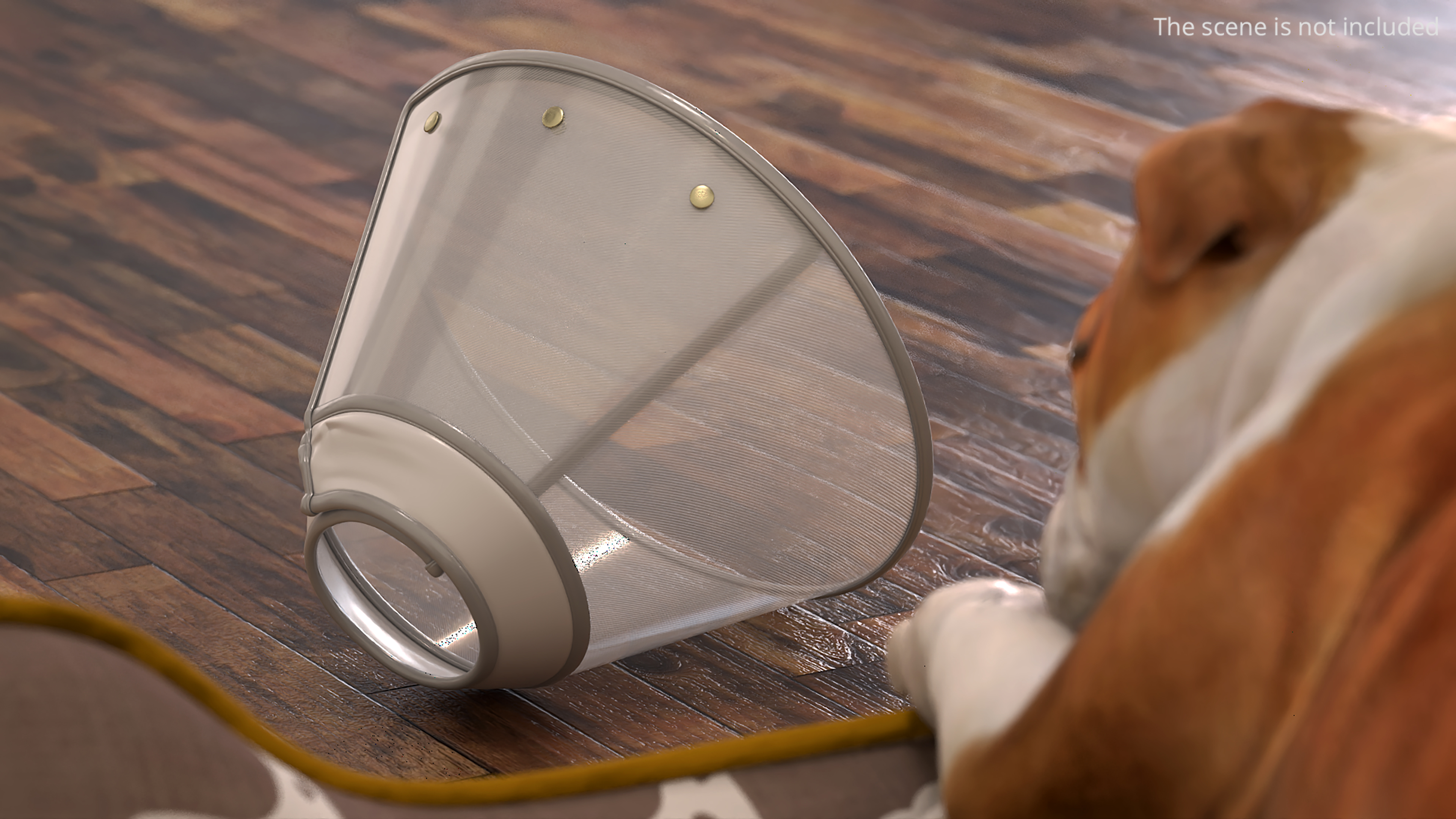 Veterinary Recovery Collar, view 5
