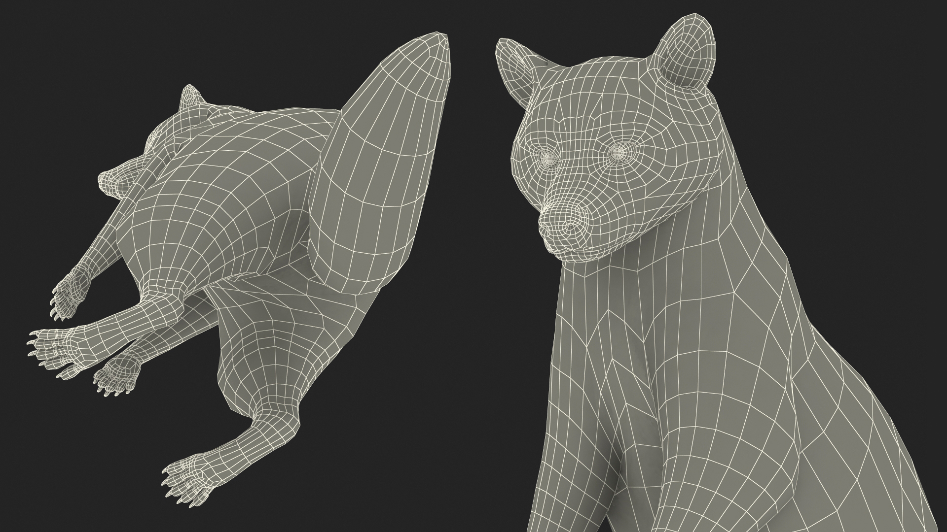 3D model Raccoon Standing Pose Fur