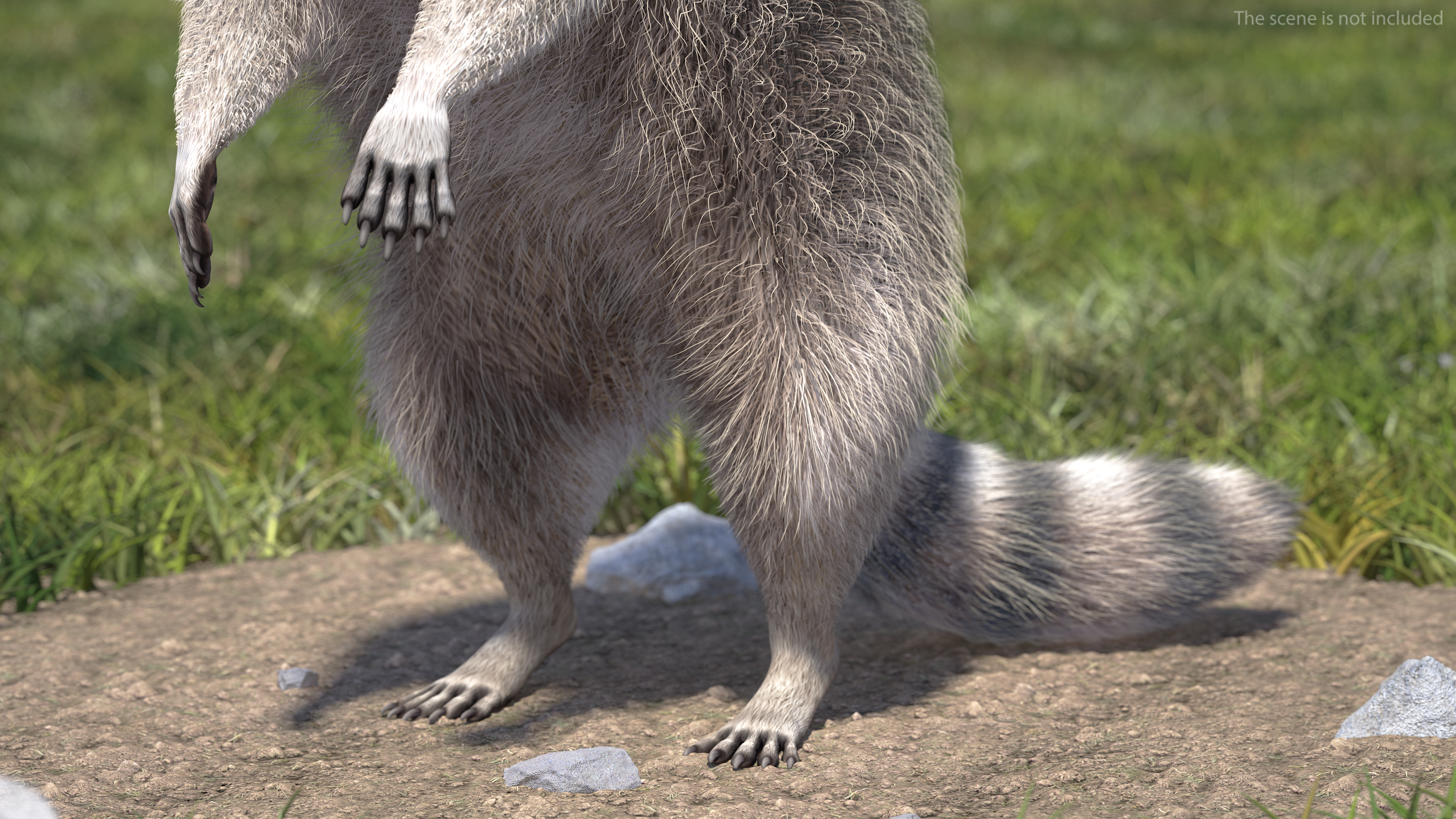 3D model Raccoon Standing Pose Fur