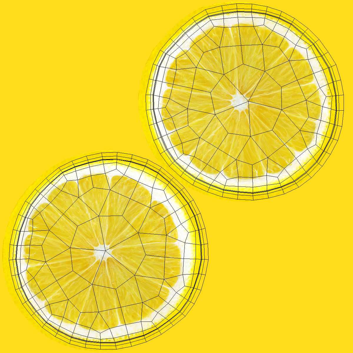 Lemon Round Slice 3D