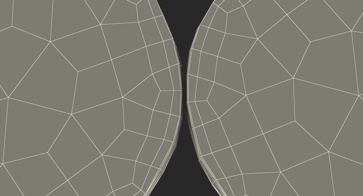 Lemon Round Slice 3D