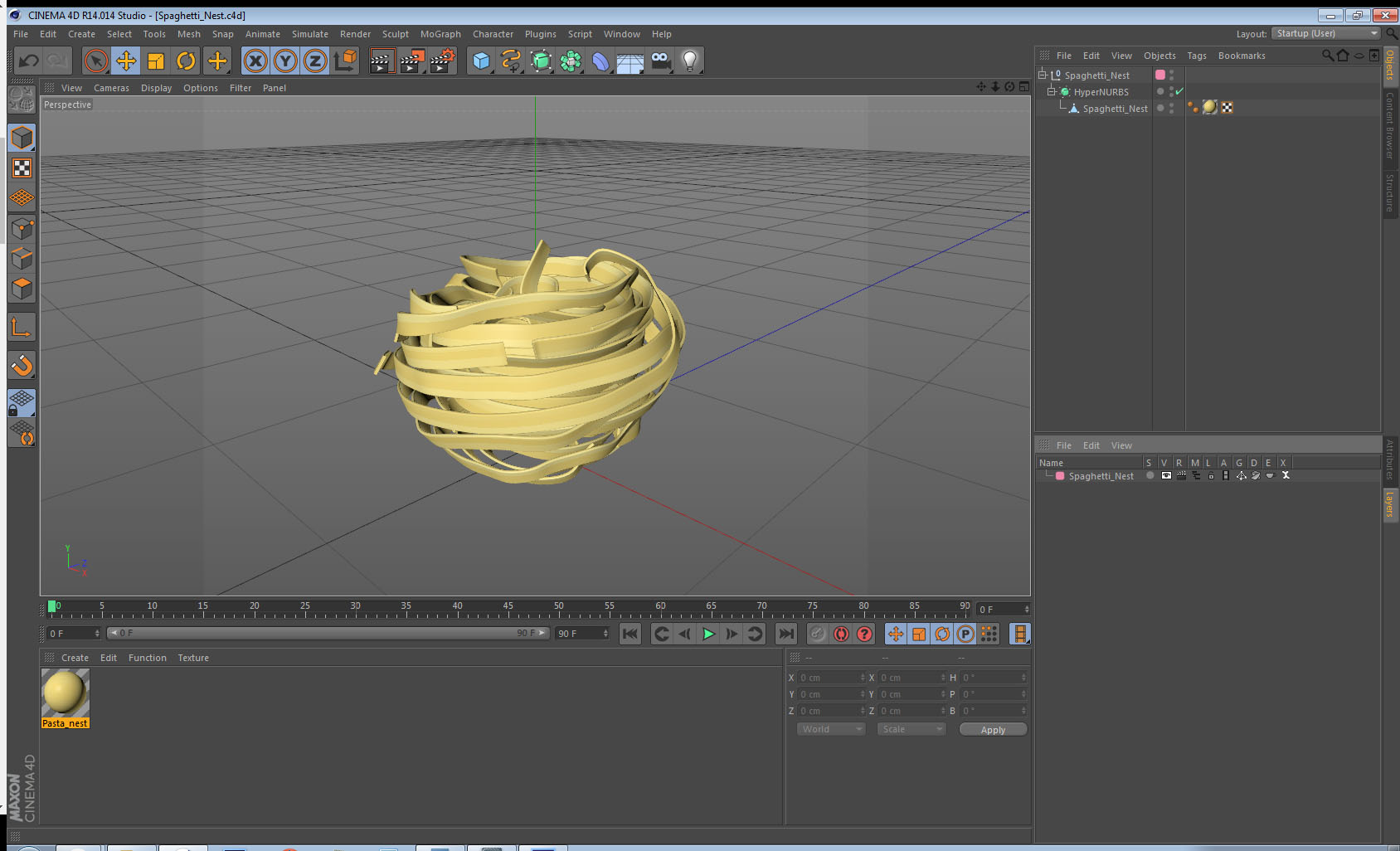 Spaghetti Nest 3D model