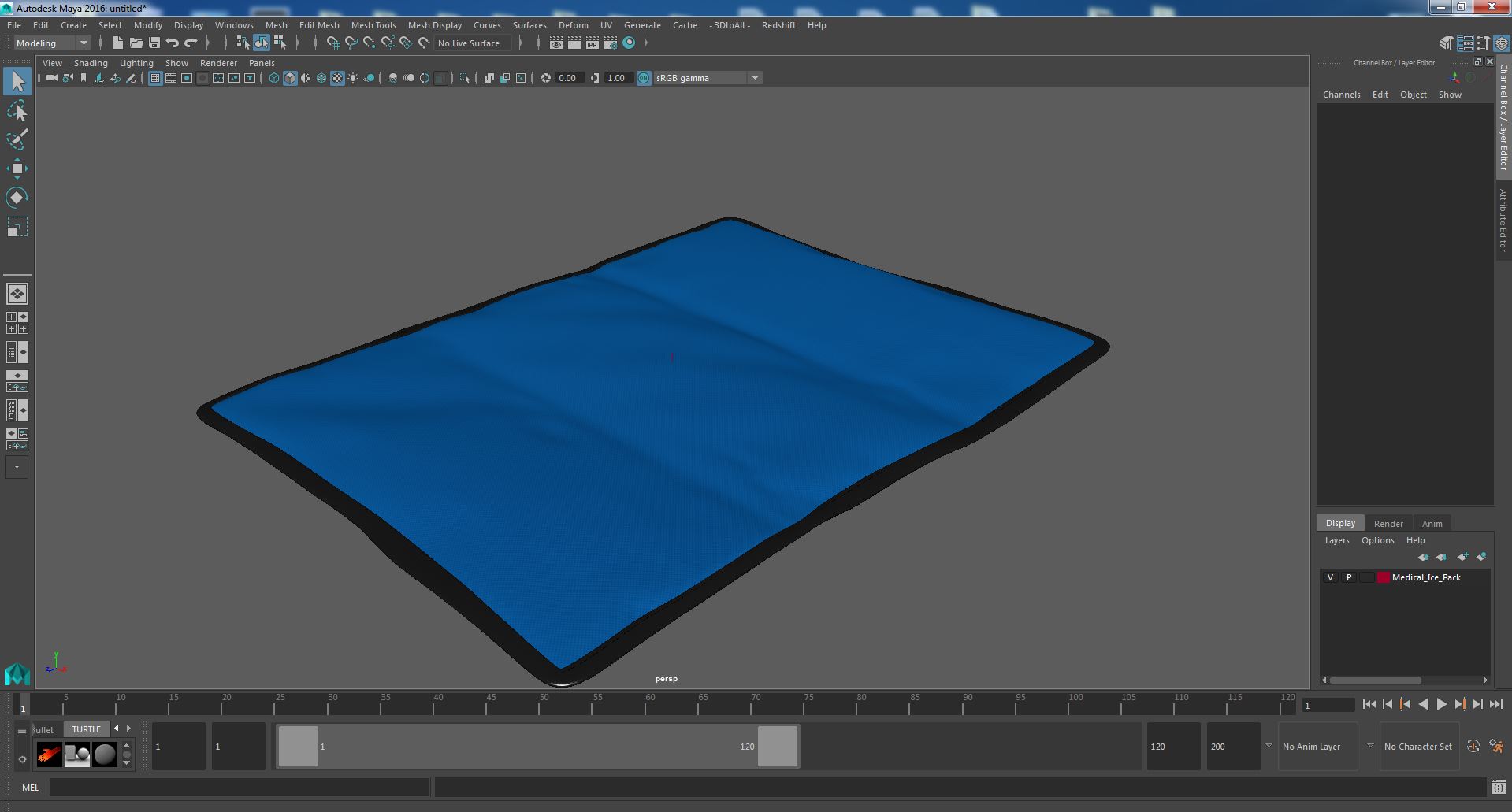 3D Medical Ice Pack