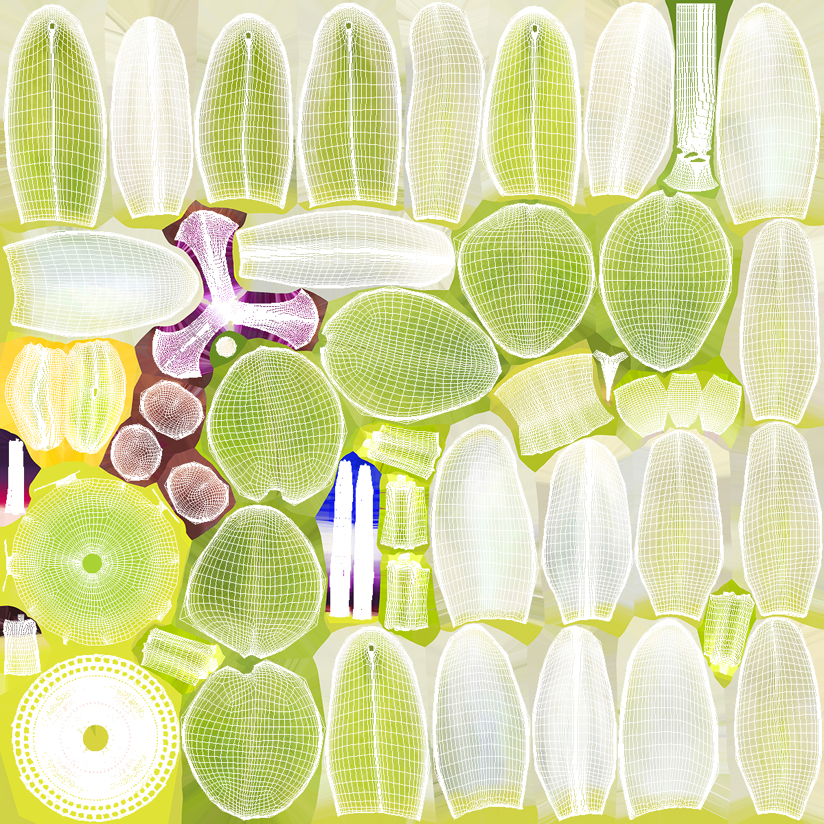3D model Passion Fruit and Flowers