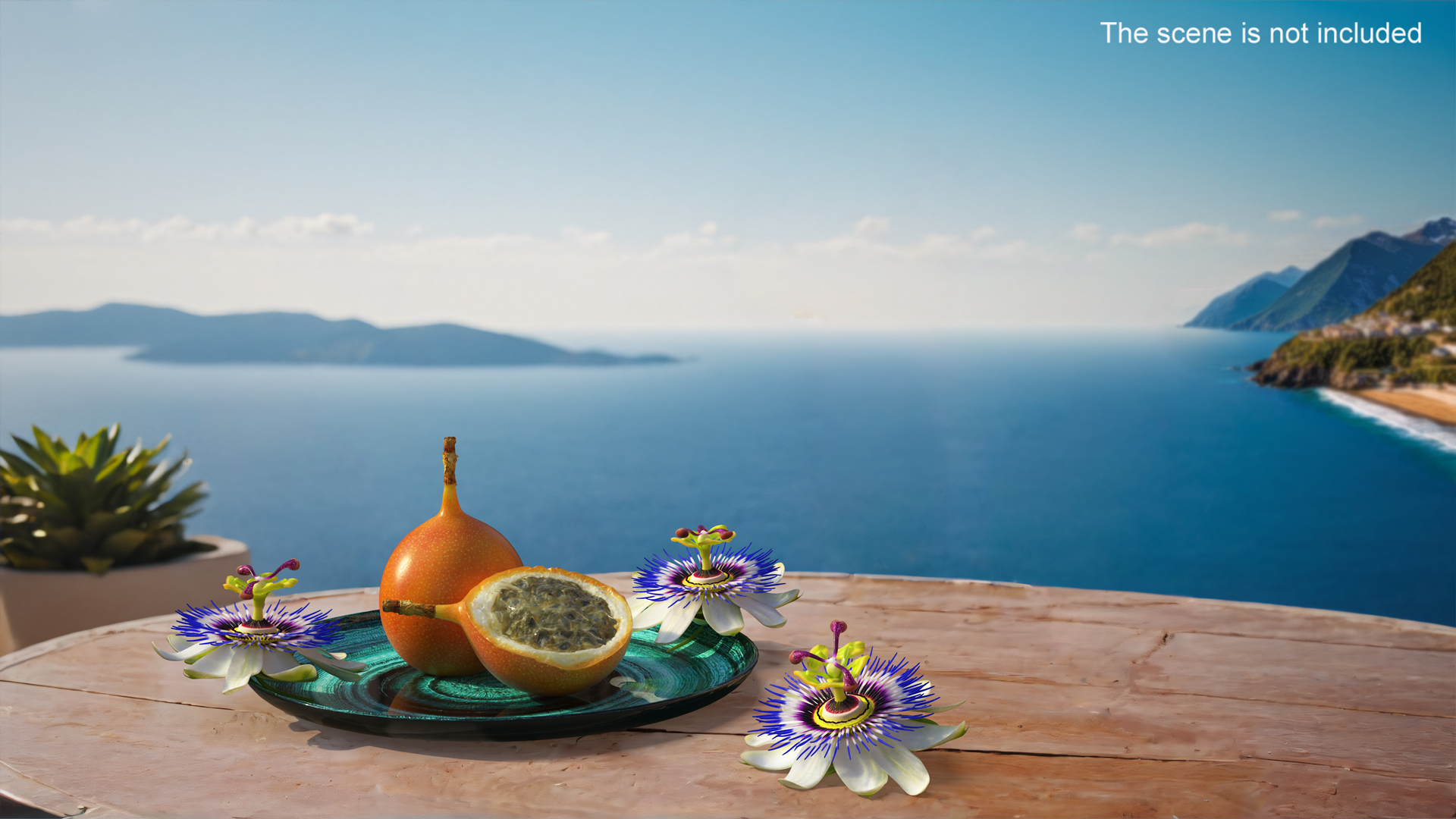 3D model Passion Fruit and Flowers