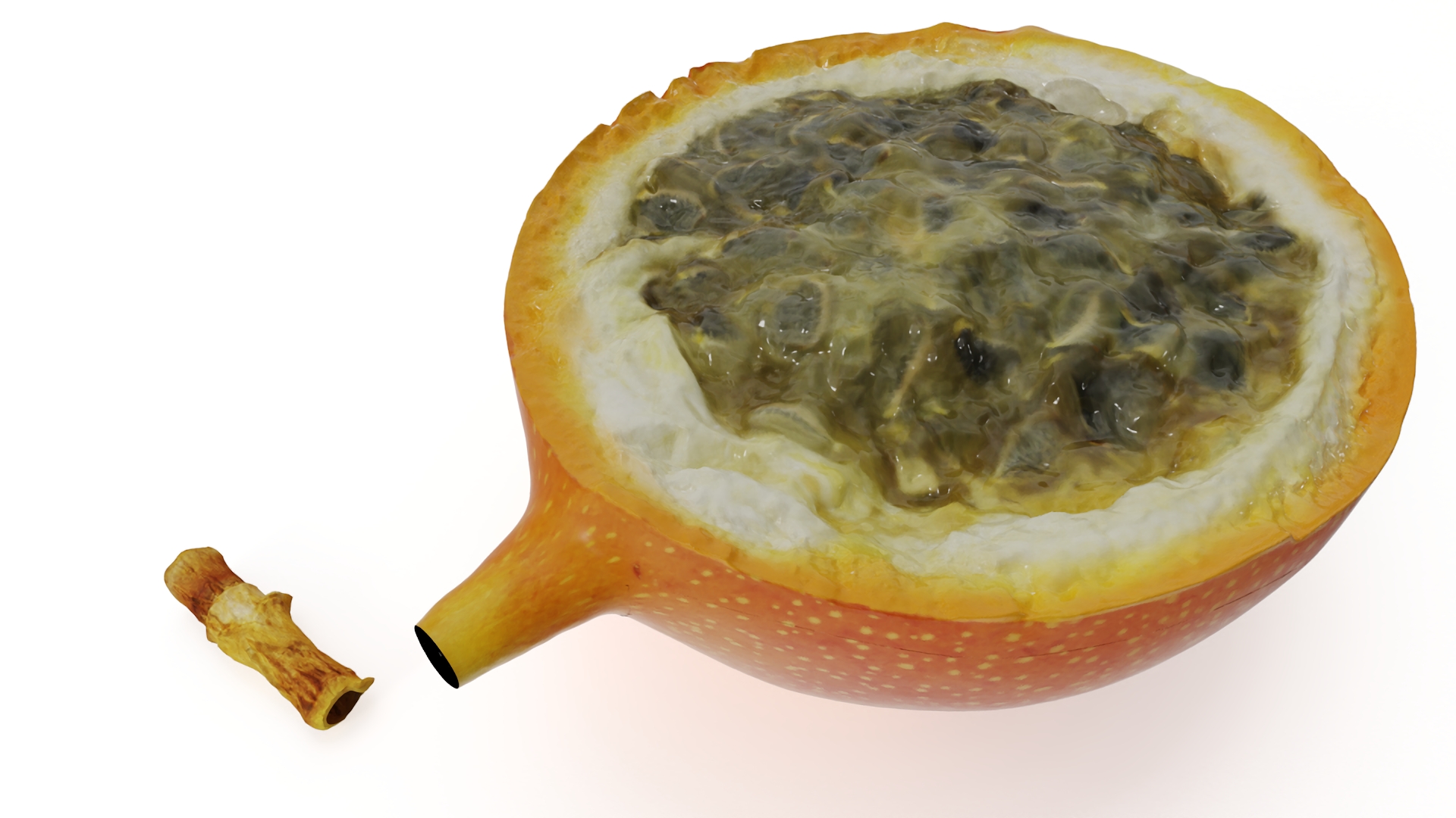 3D model Passion Fruit and Flowers