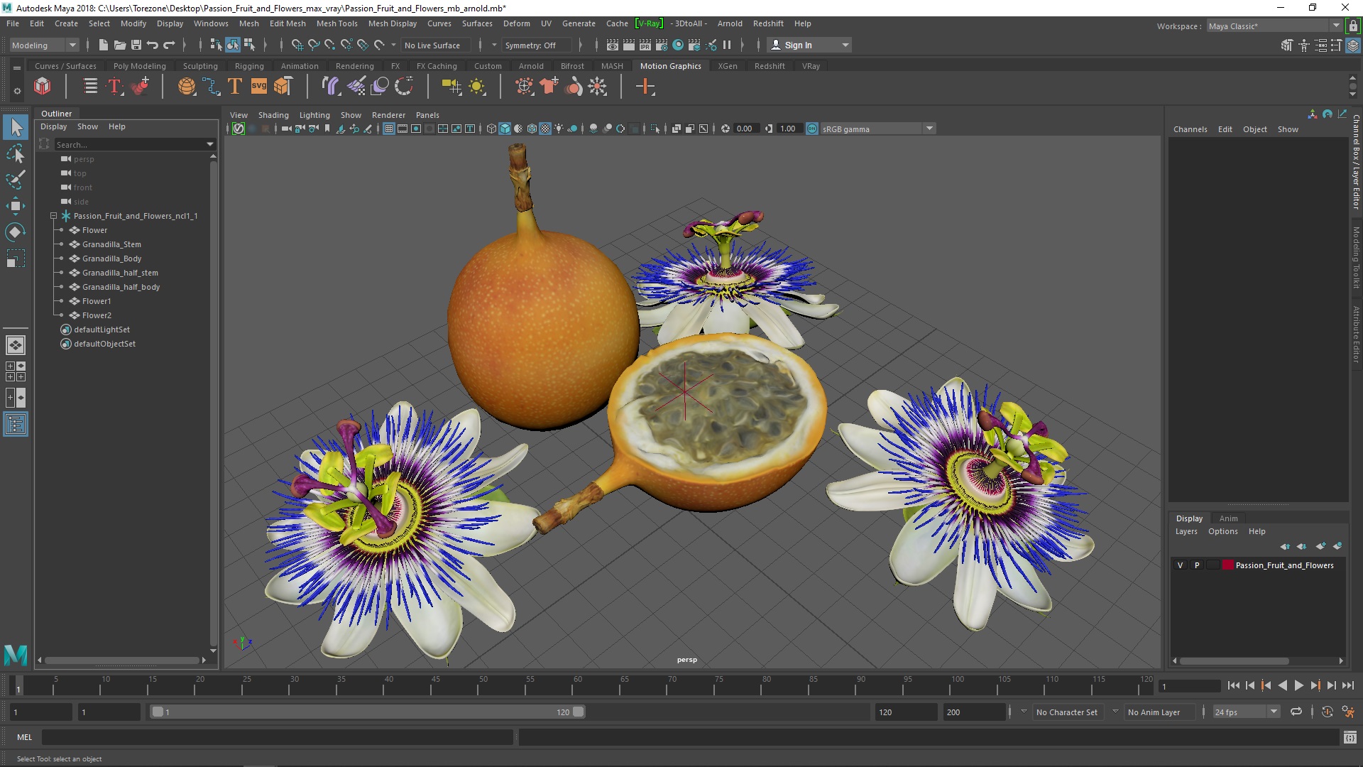 3D model Passion Fruit and Flowers