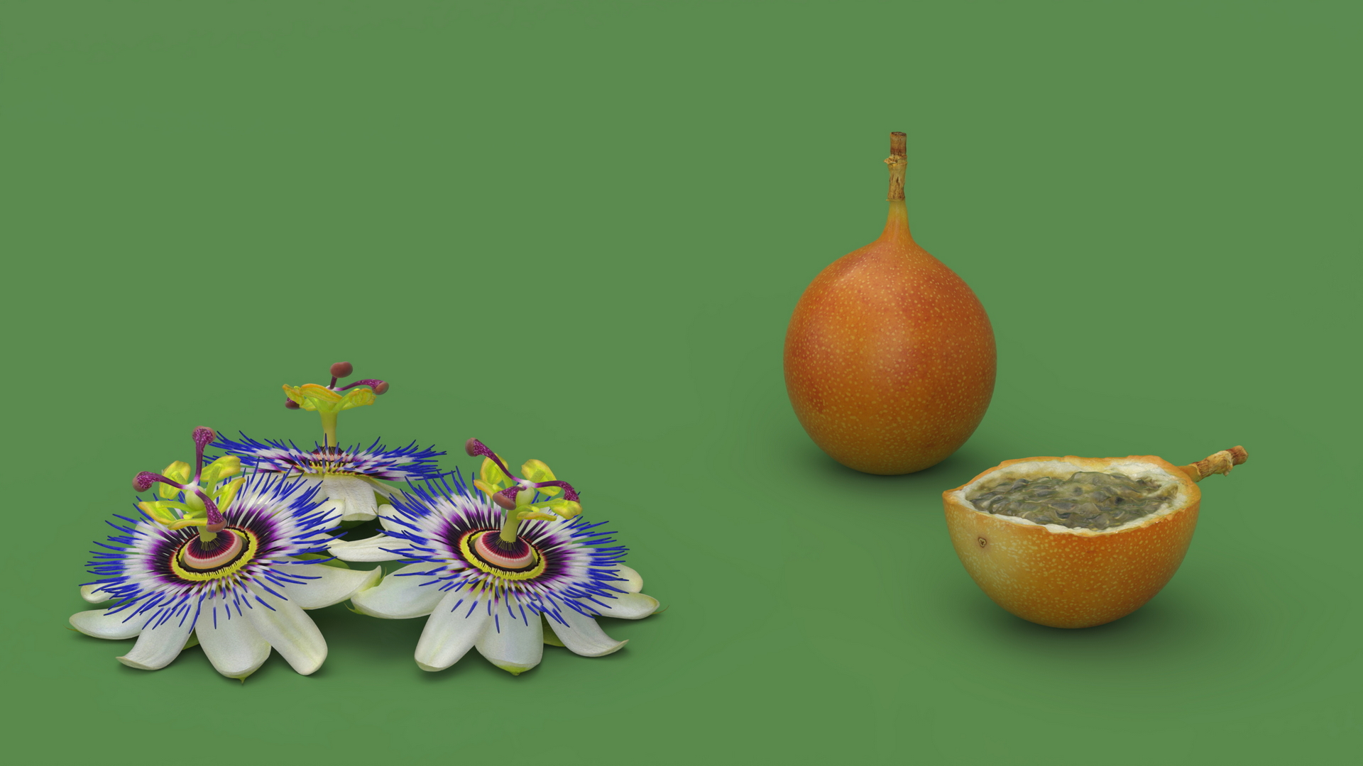 3D model Passion Fruit and Flowers