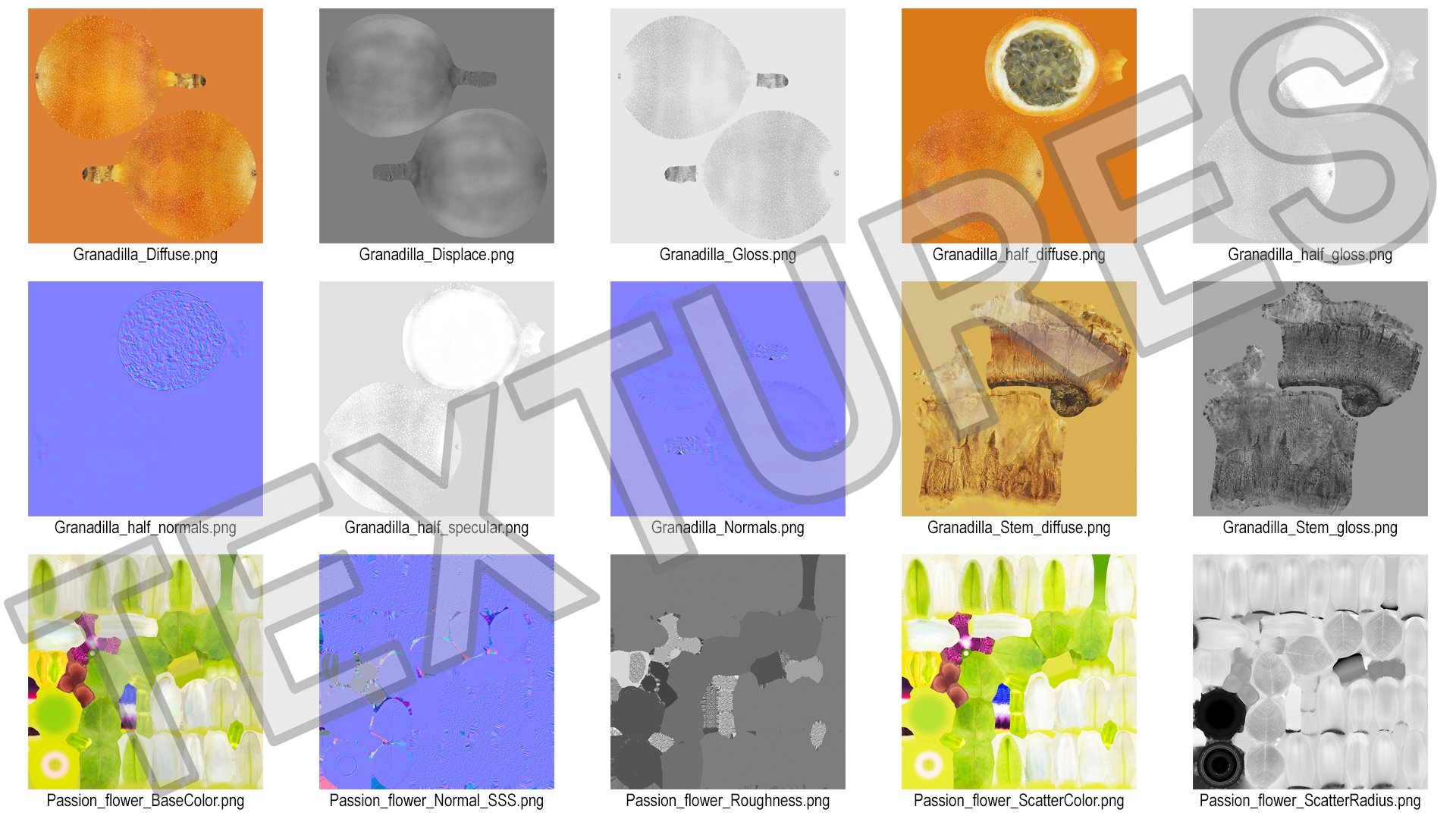 3D model Passion Fruit and Flowers