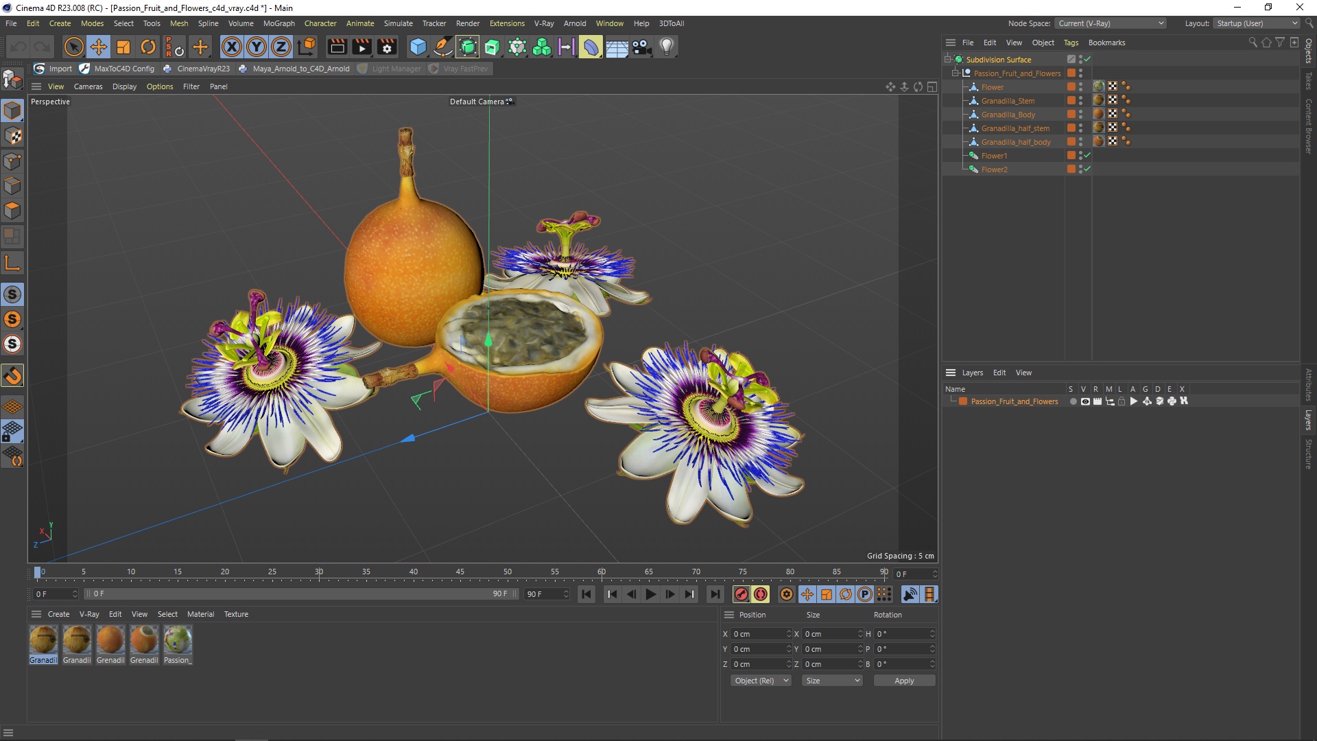 3D model Passion Fruit and Flowers
