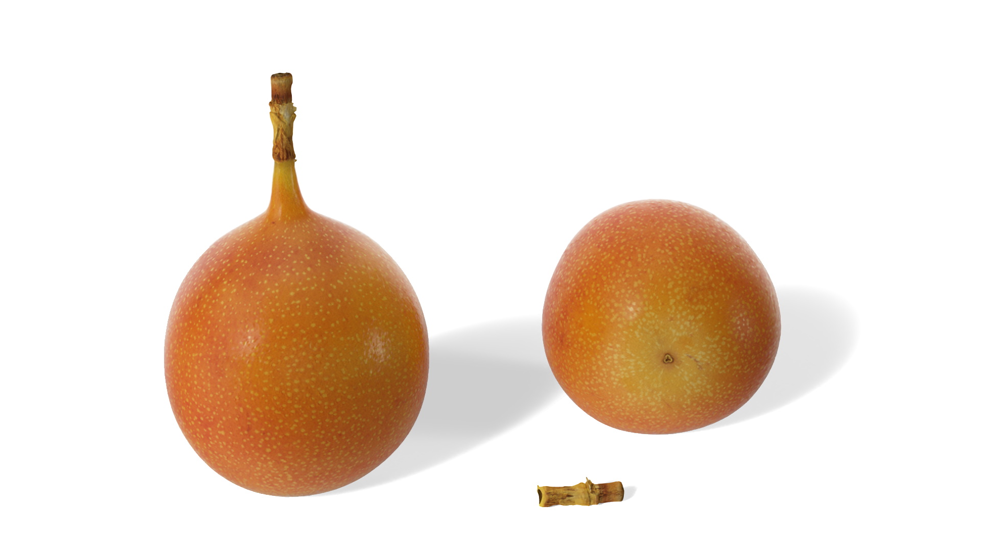 3D model Passion Fruit and Flowers