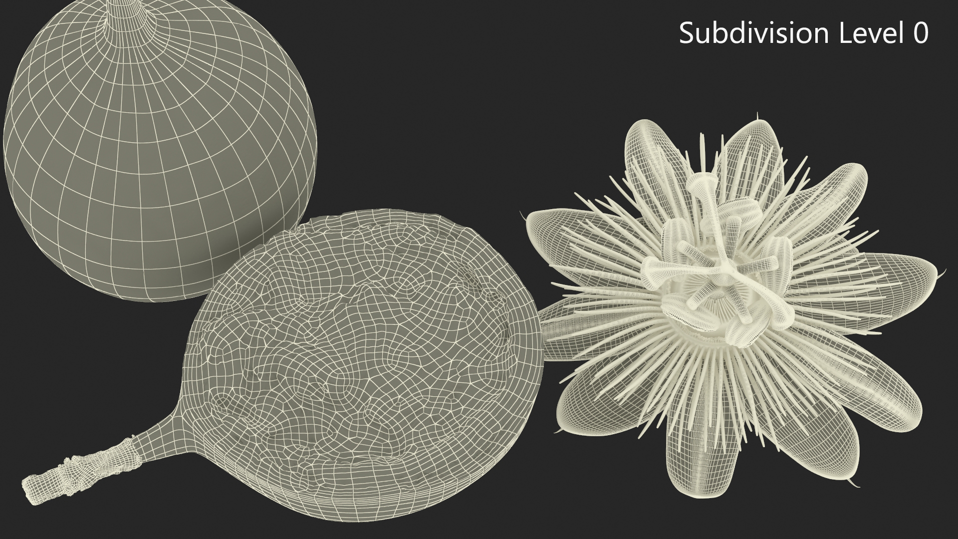 3D model Passion Fruit and Flowers