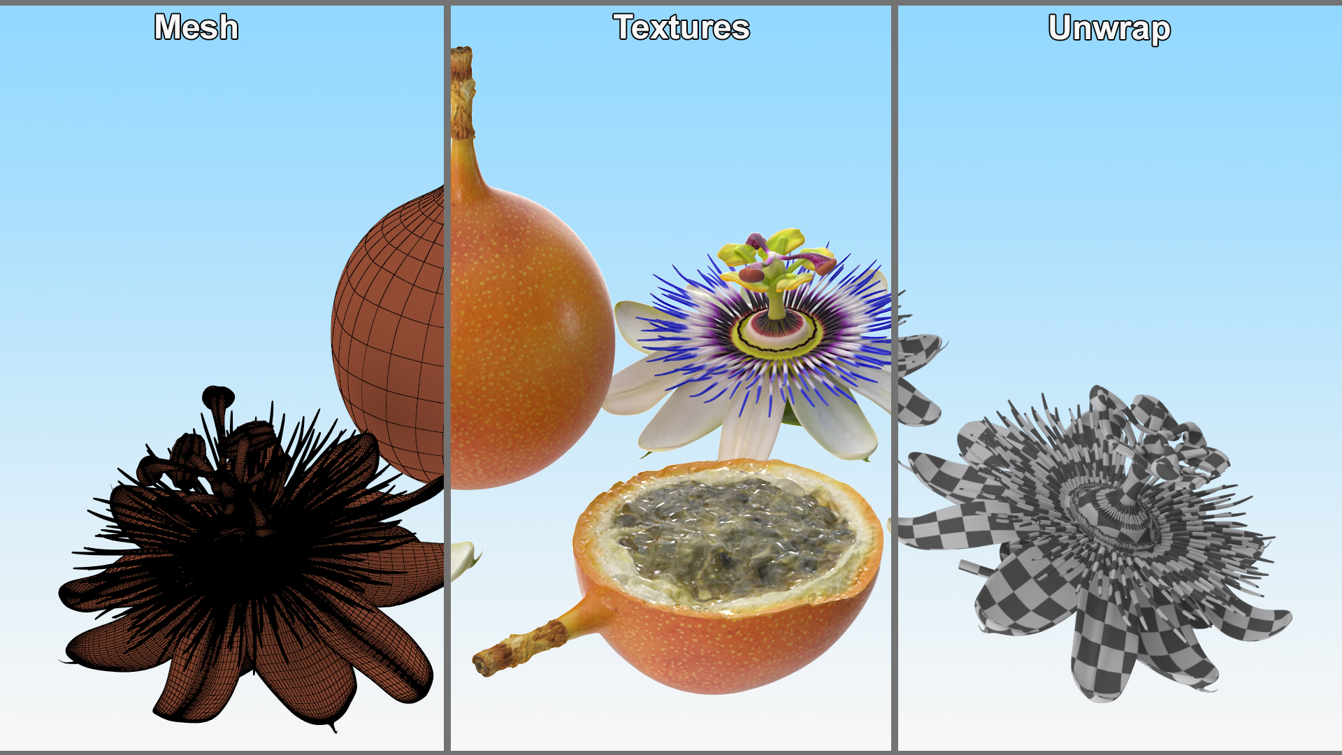 3D model Passion Fruit and Flowers
