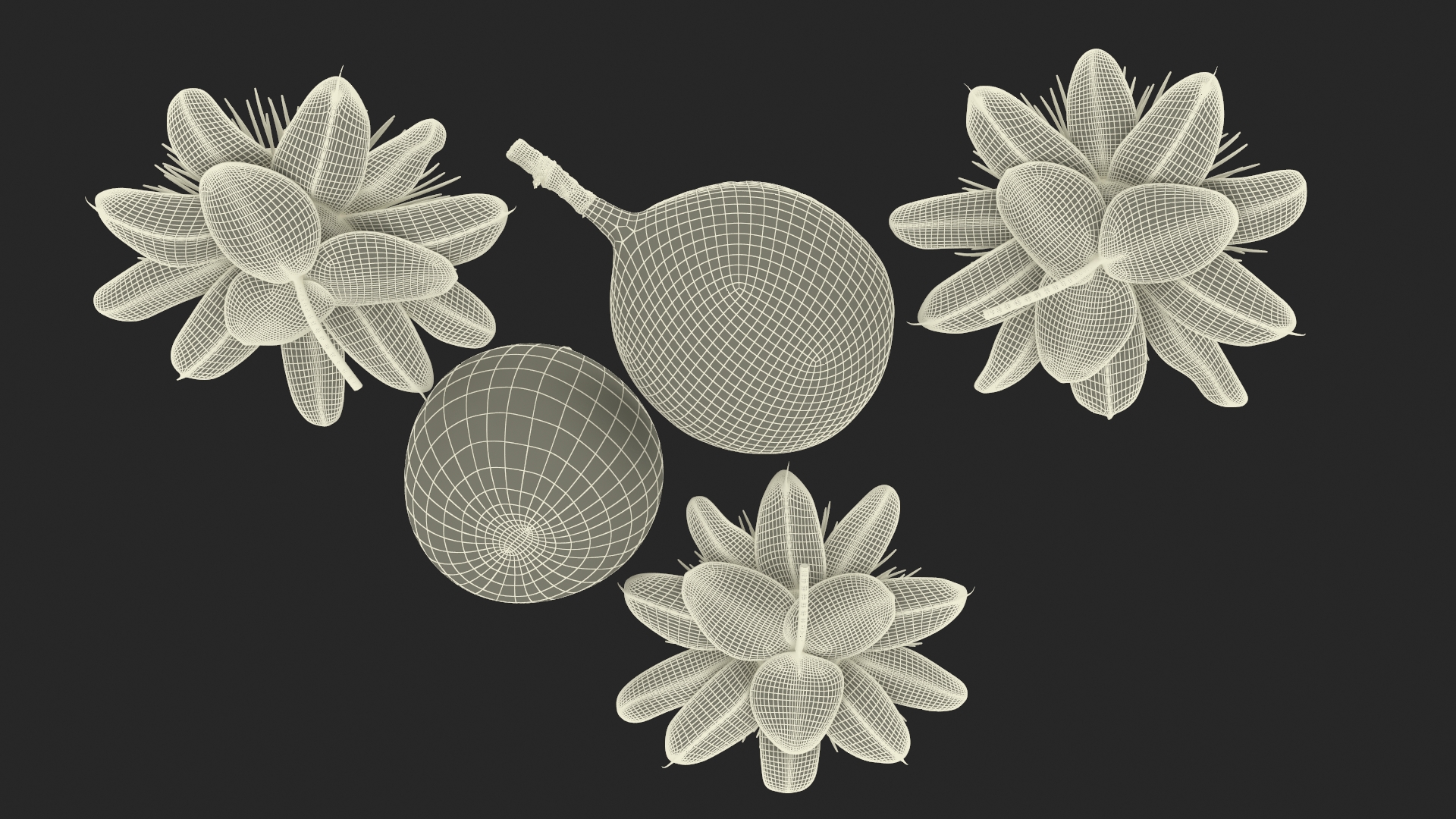 3D model Passion Fruit and Flowers
