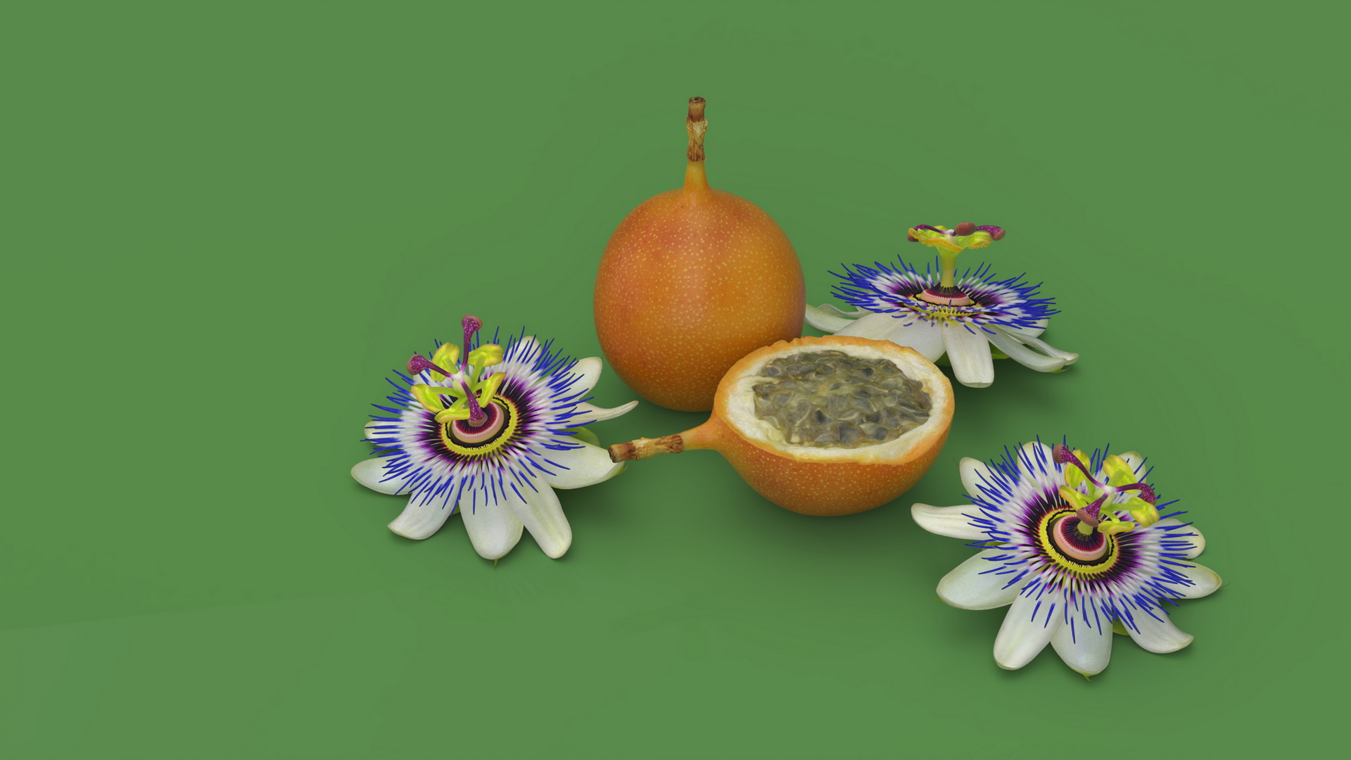 3D model Passion Fruit and Flowers