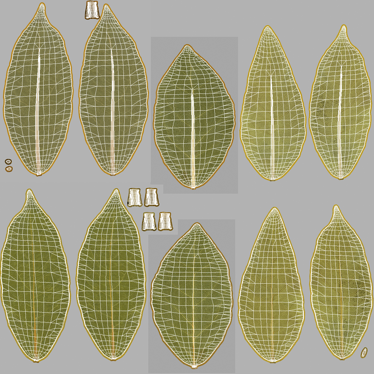 Dry Laurel Leaves 3D