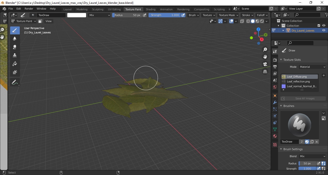 Dry Laurel Leaves 3D