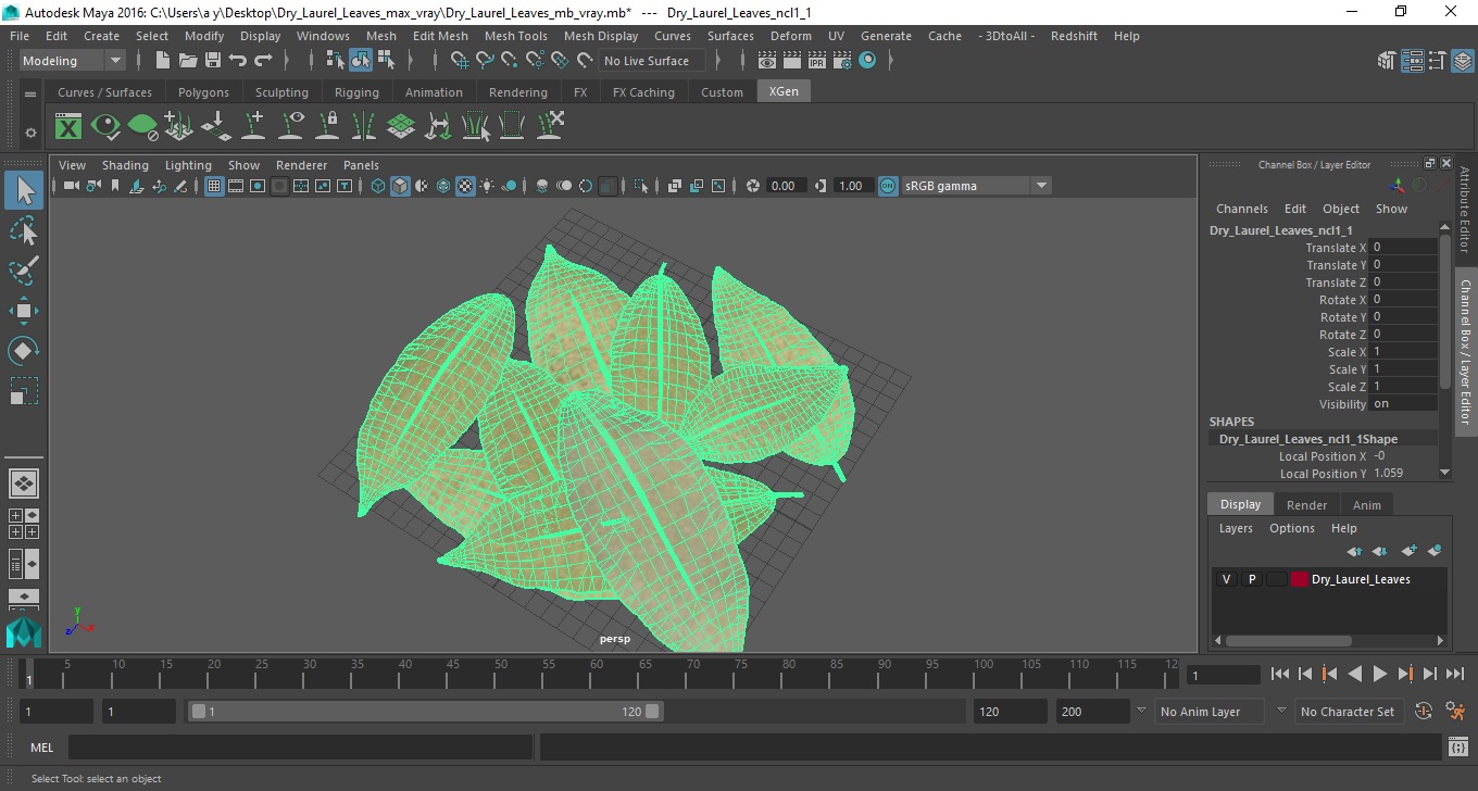 Dry Laurel Leaves 3D