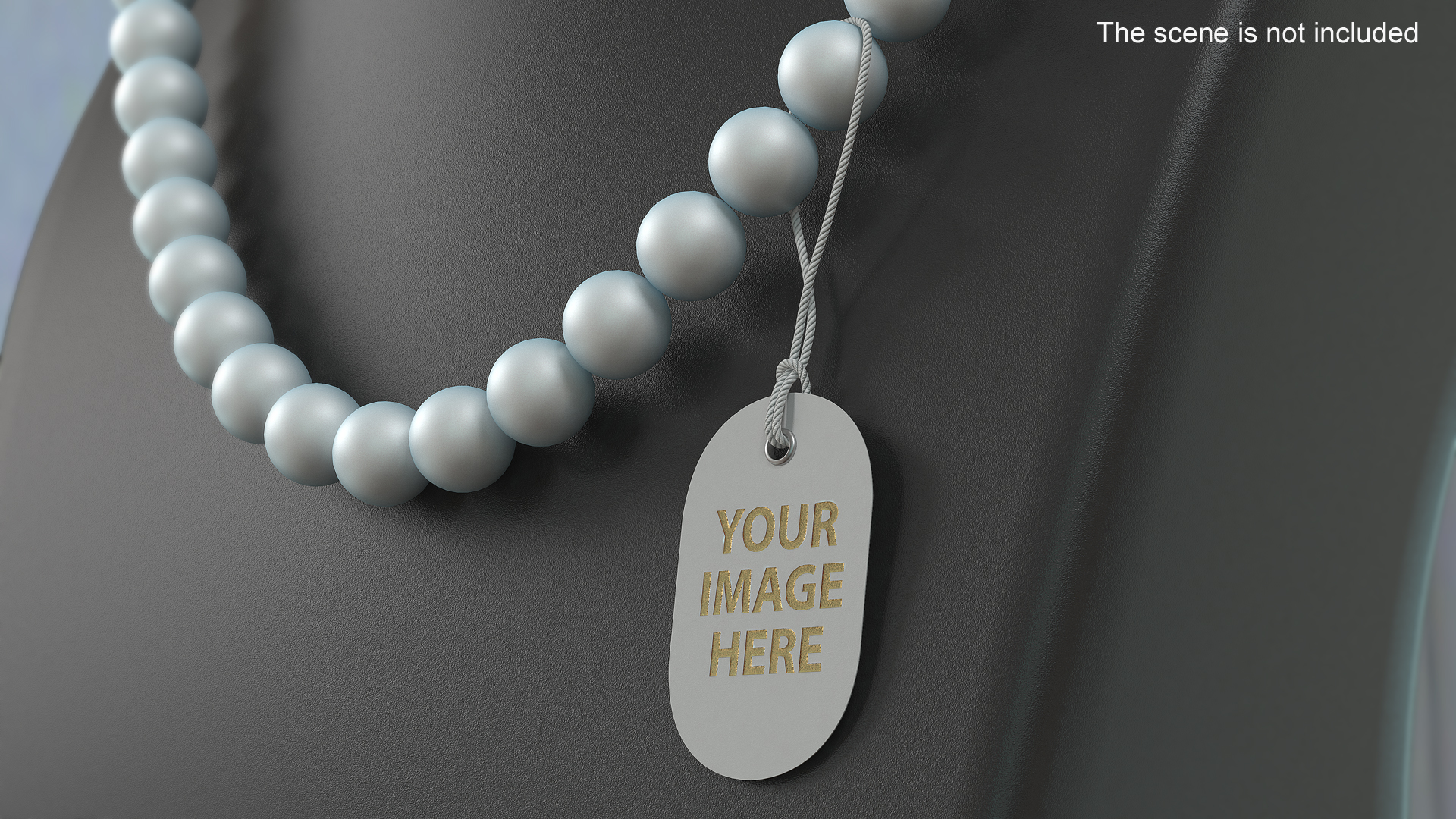 Label Tag Ellipse 3D