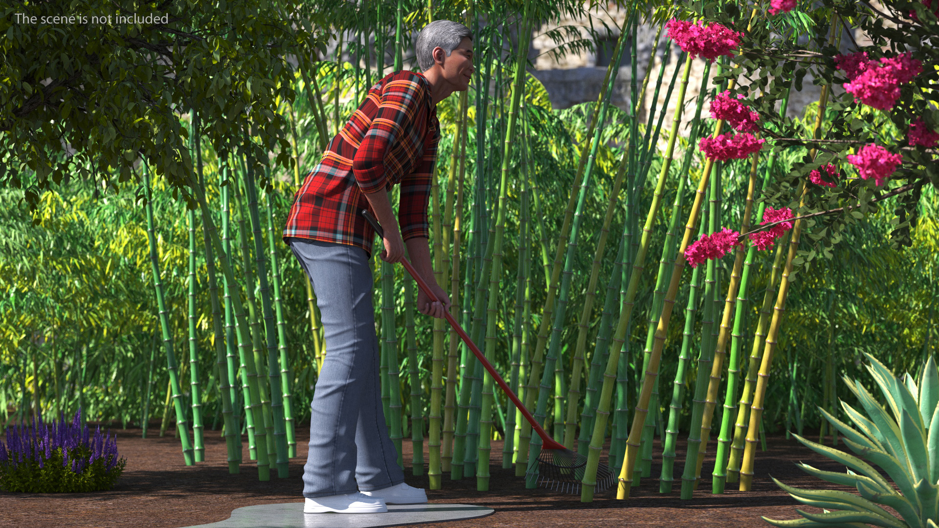 3D Korean Old Aged Man Raking