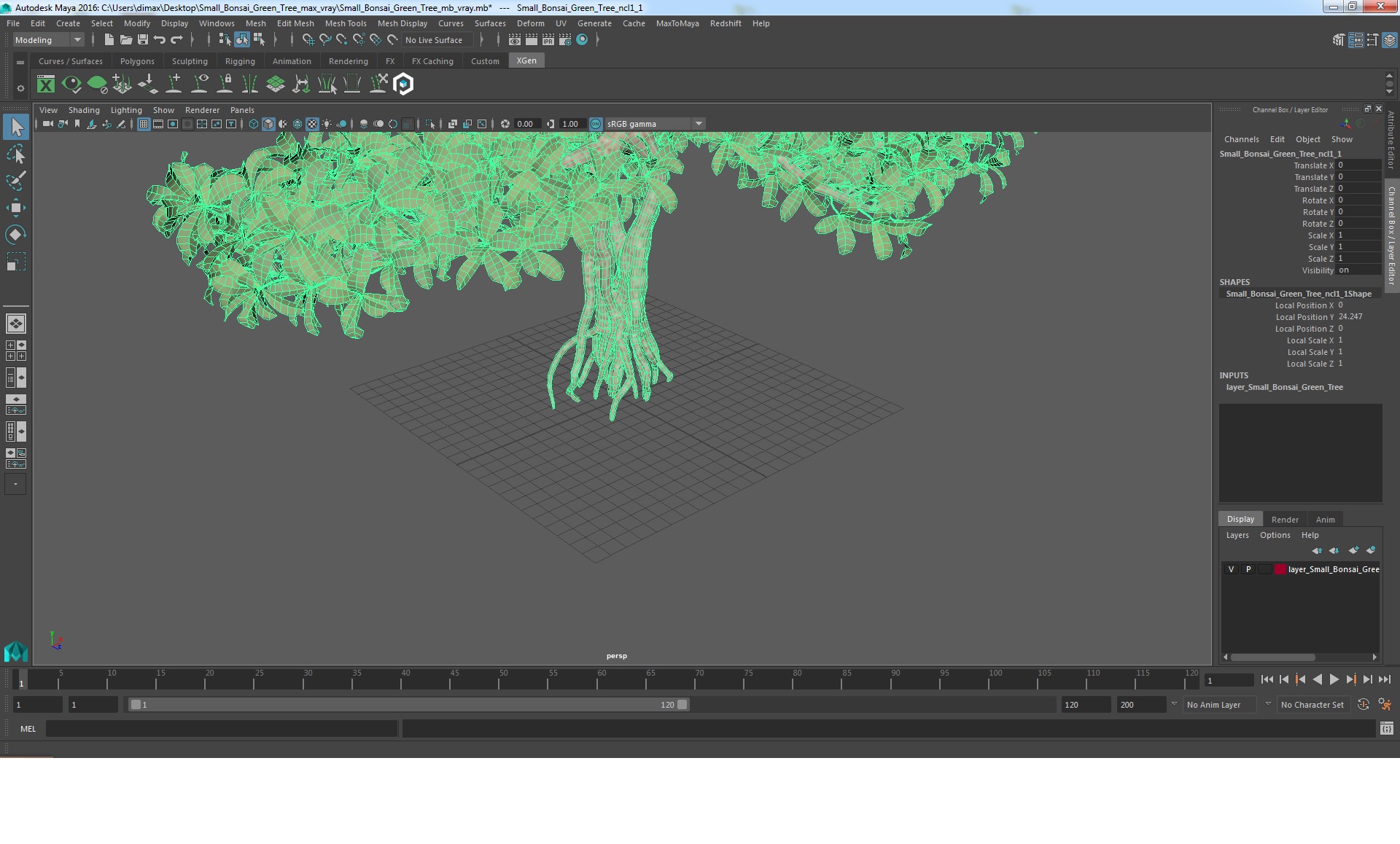 3D Small Bonsai Green Tree model