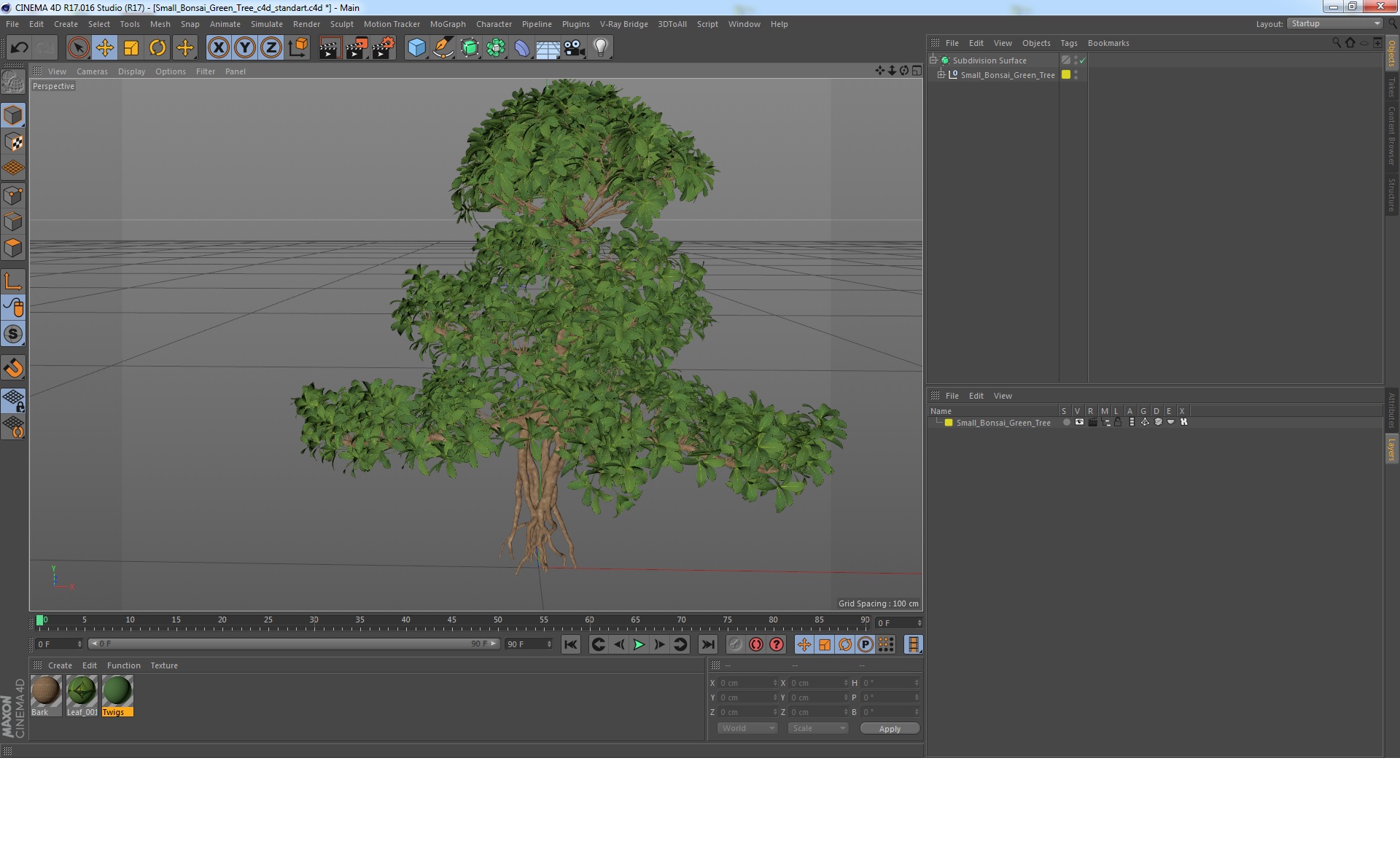 3D Small Bonsai Green Tree model