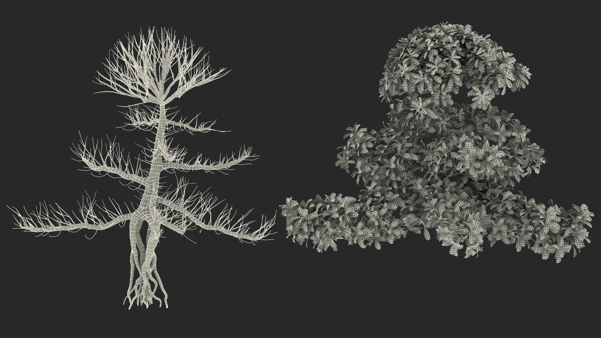 3D Small Bonsai Green Tree model