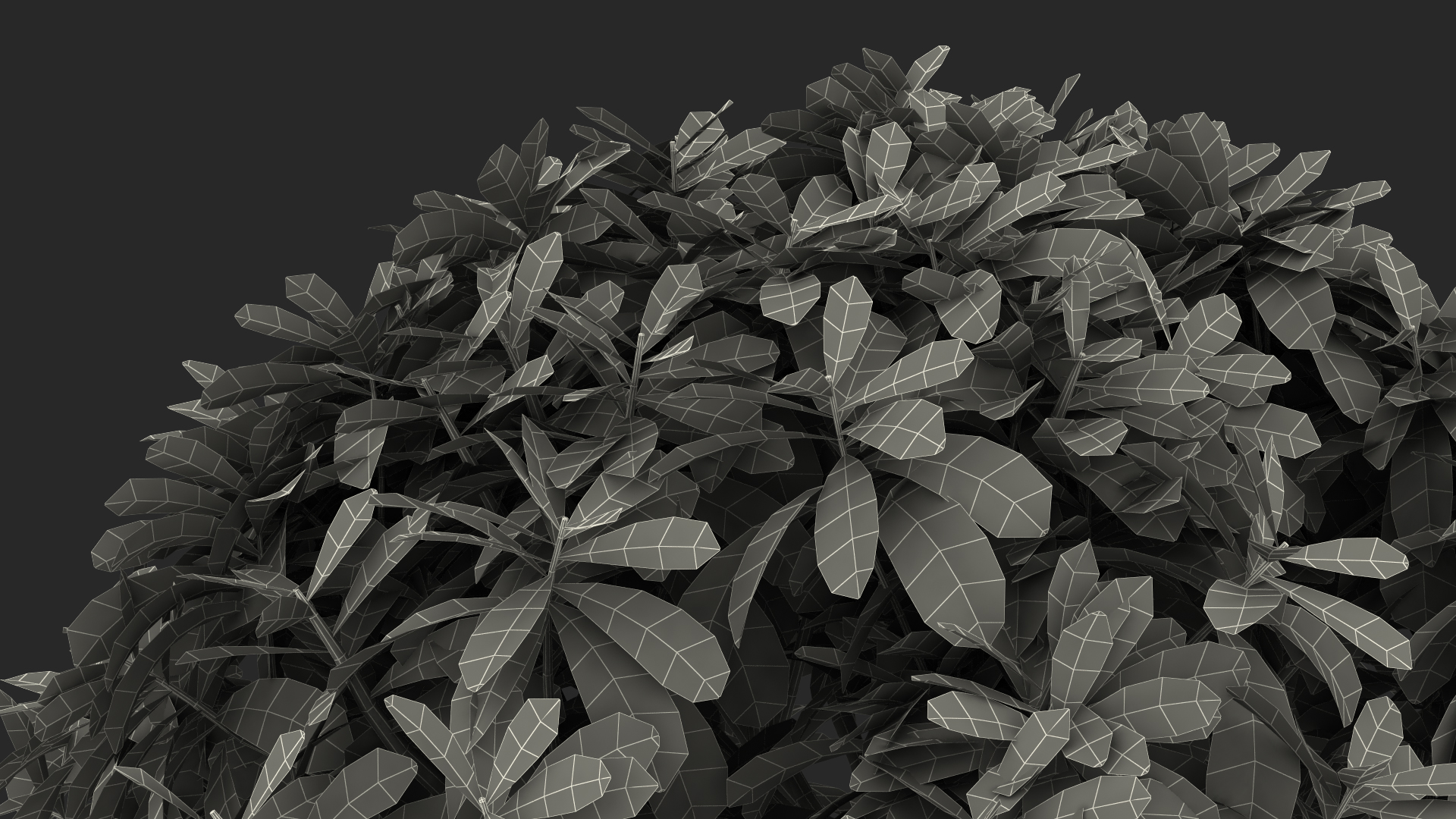 3D Small Bonsai Green Tree model