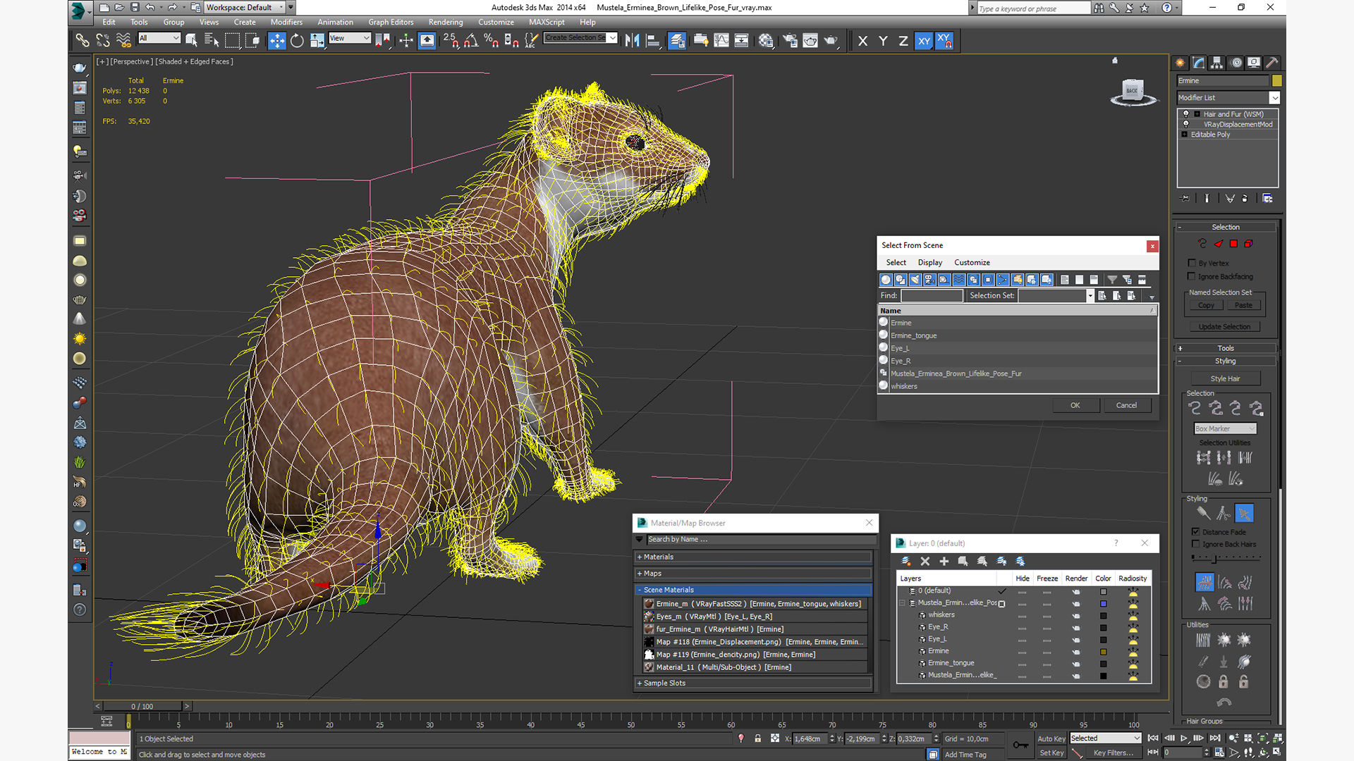 Mustela Erminea Brown Lifelike Pose Fur 3D model