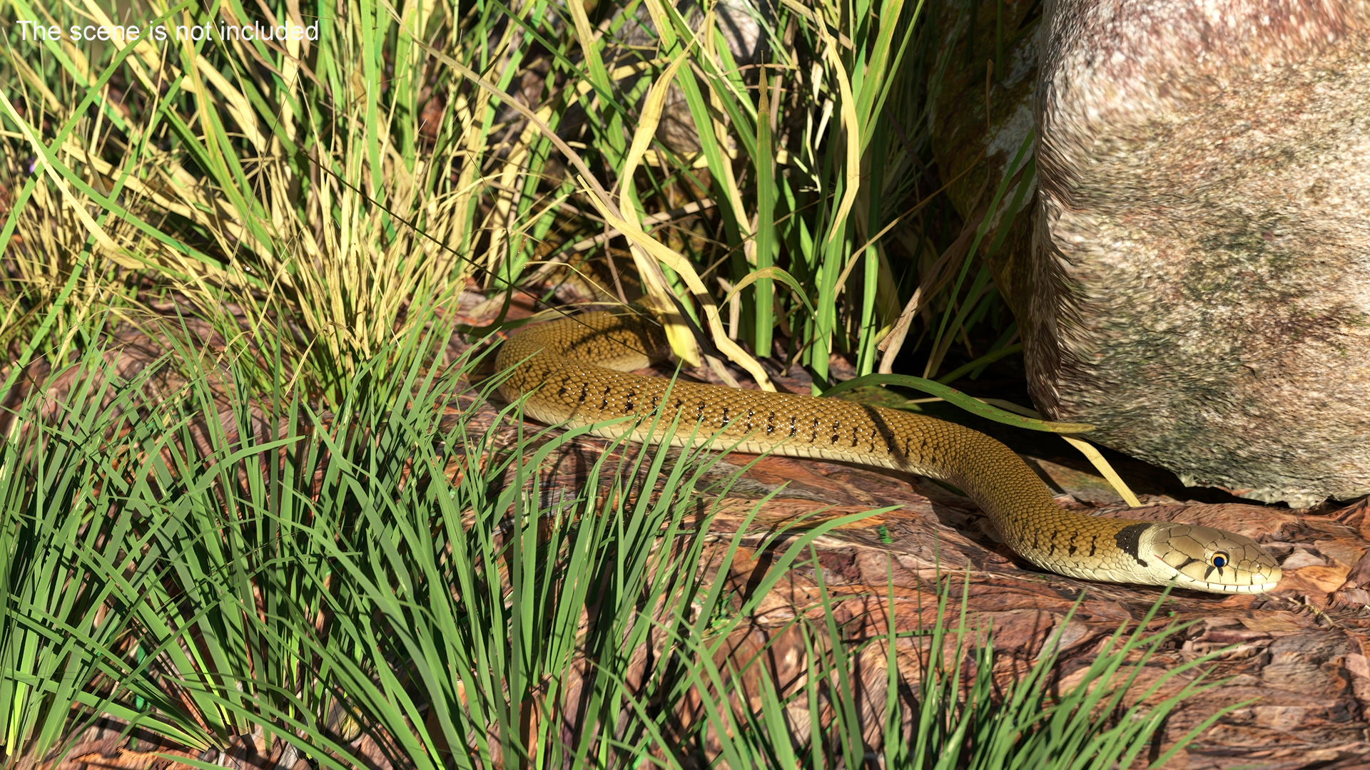 3D Water Snake Brown Crawling