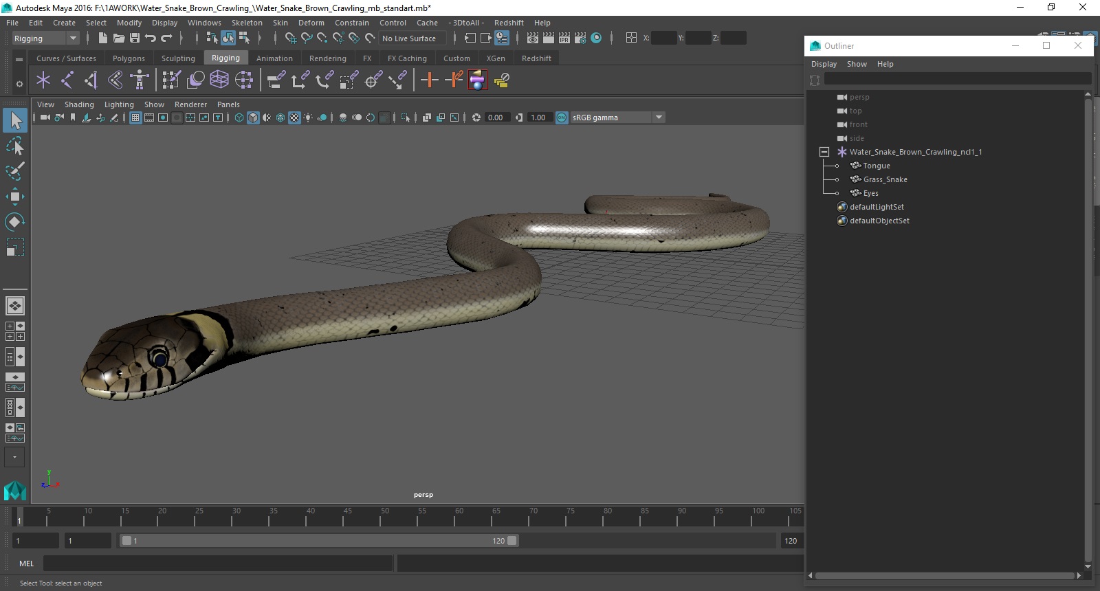 3D Water Snake Brown Crawling