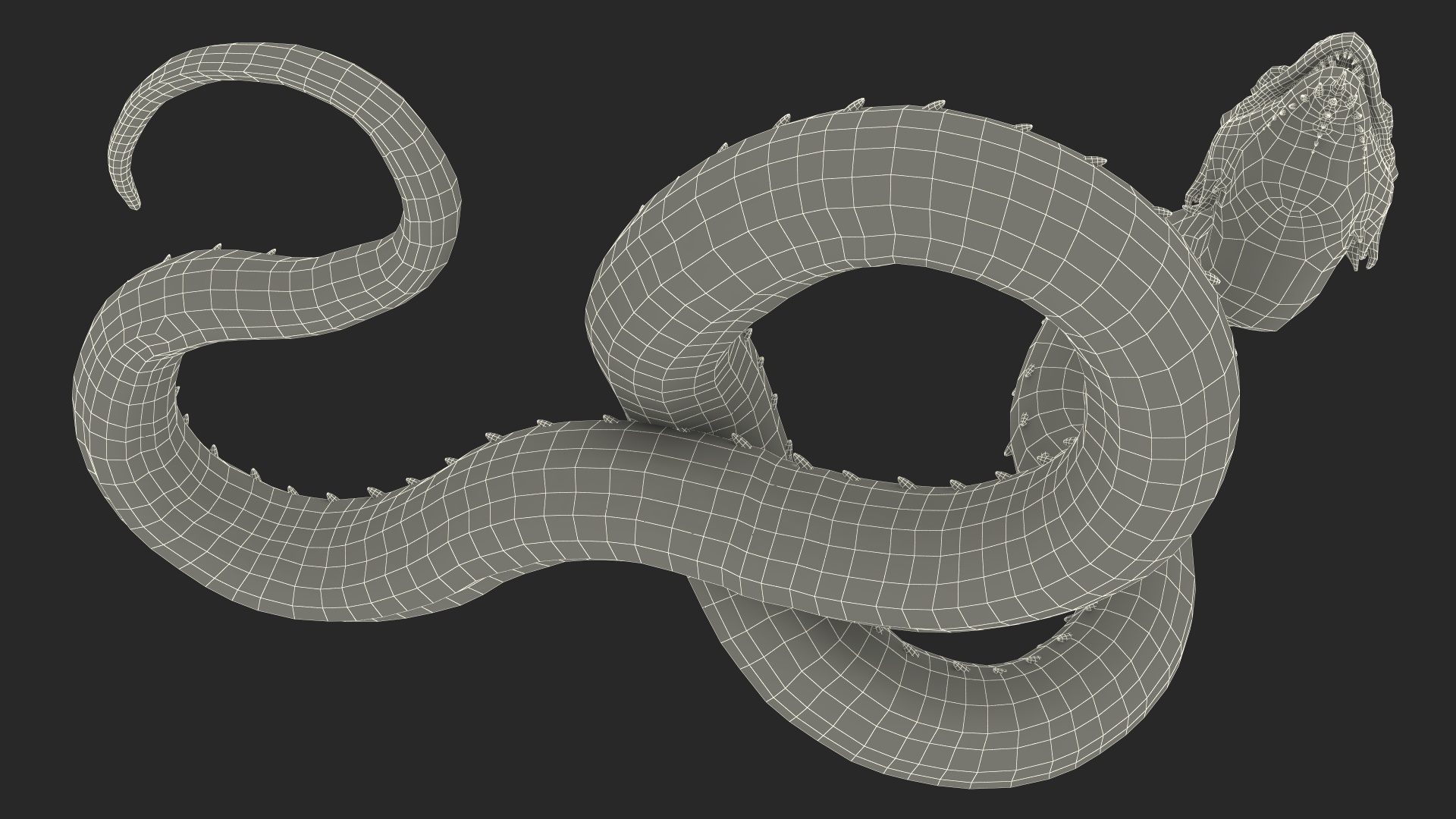 3D Serpentine Dragon Creature