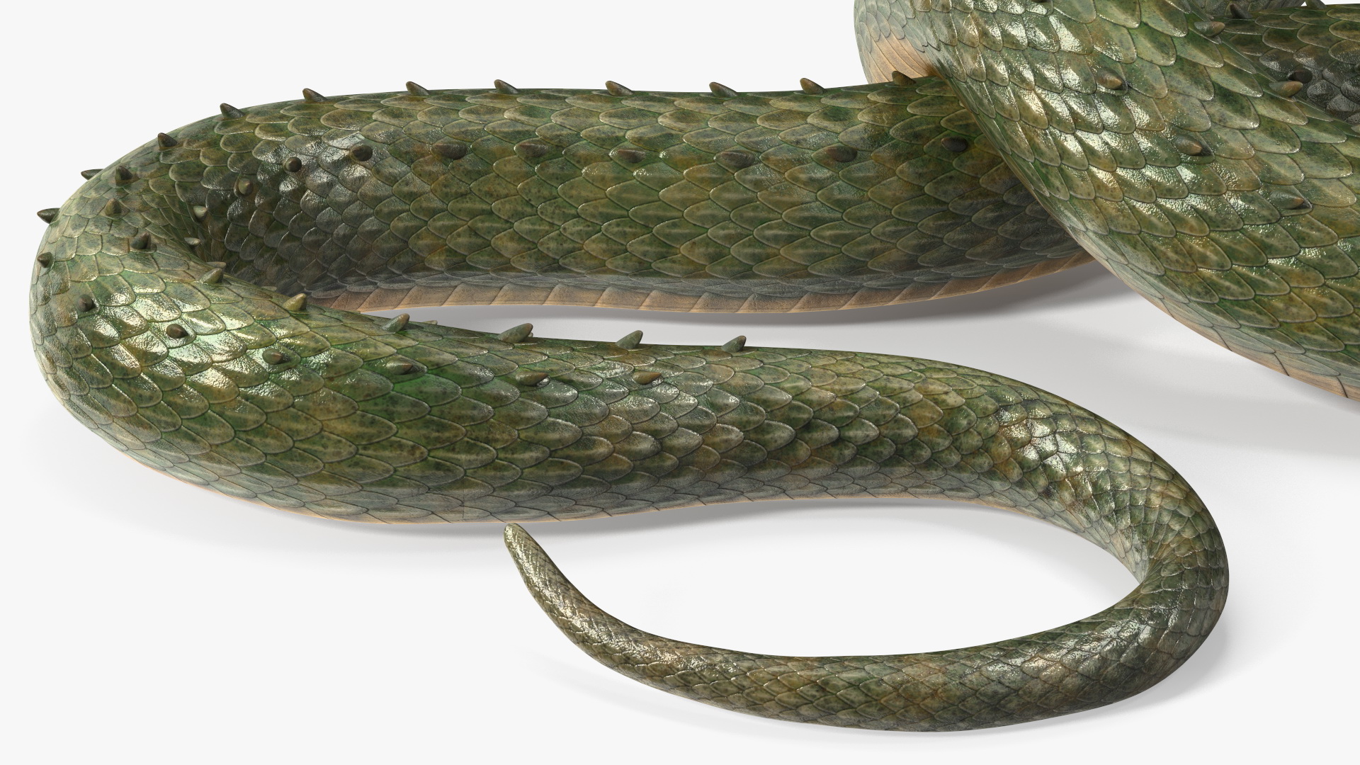 3D Serpentine Dragon Creature
