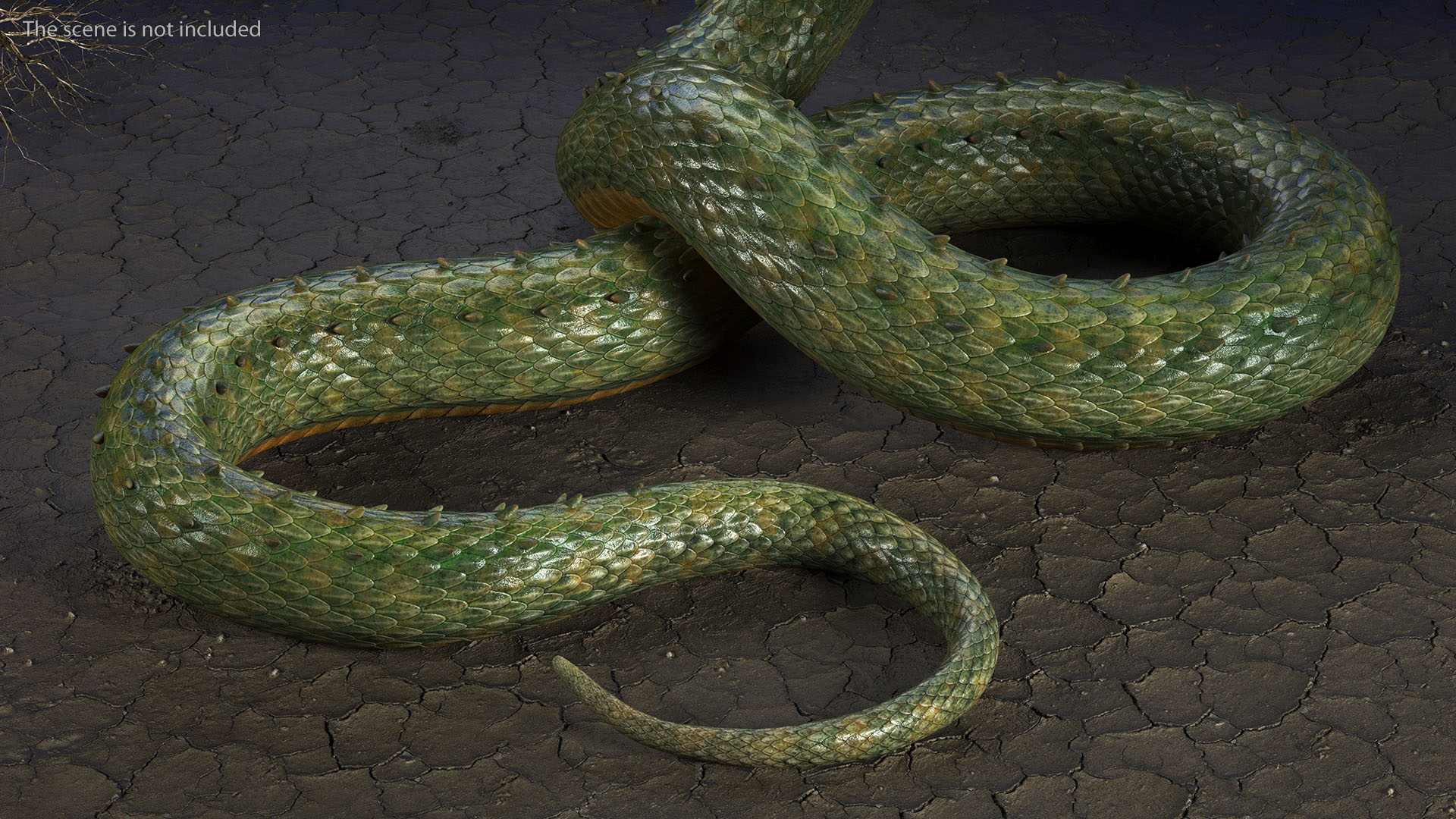 3D Serpentine Dragon Creature
