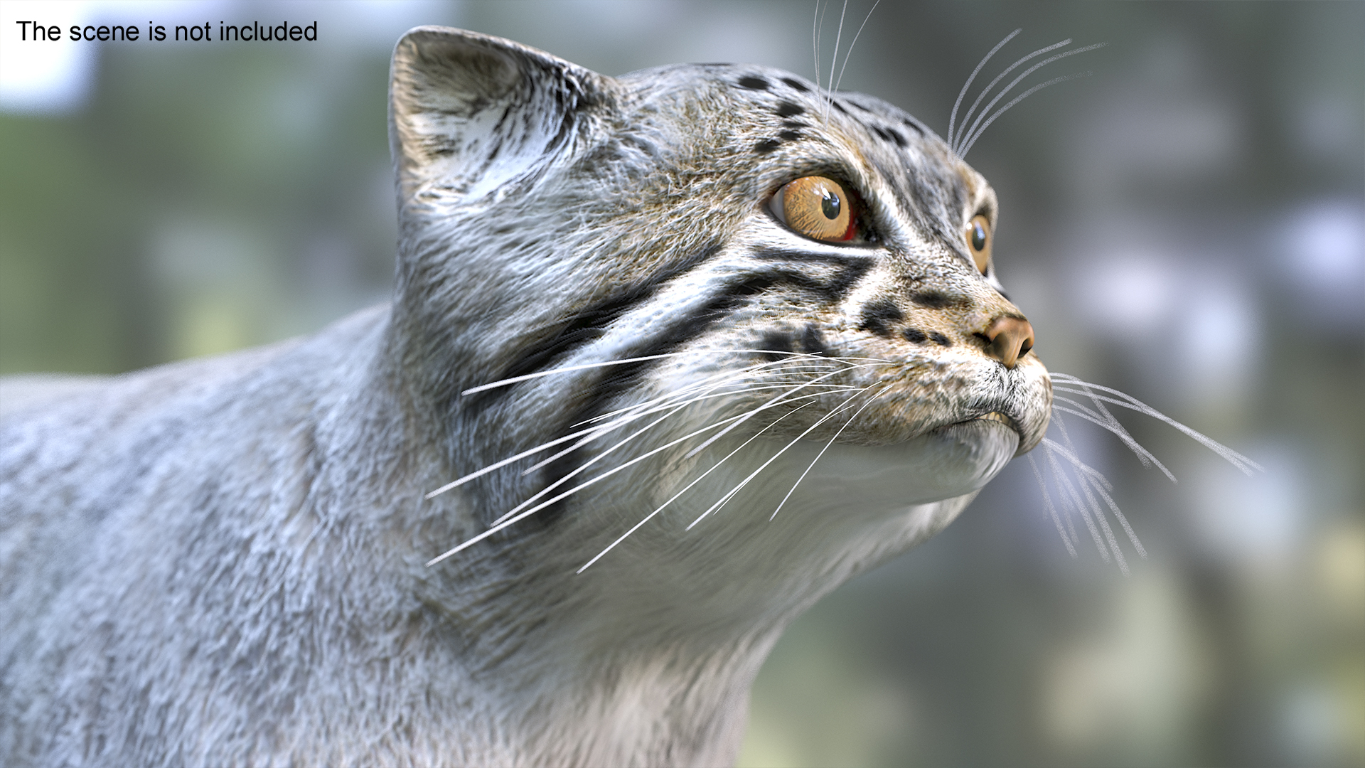 3D model Manul Cat is Walking