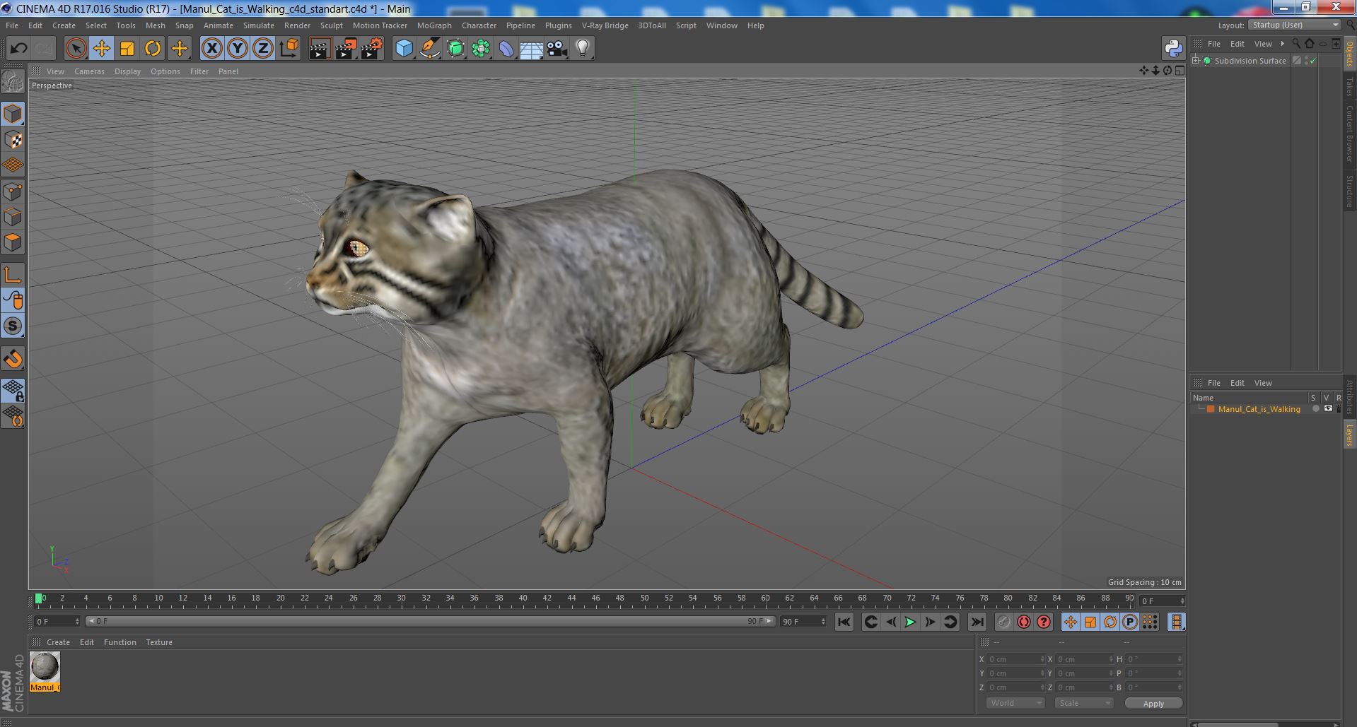 3D model Manul Cat is Walking