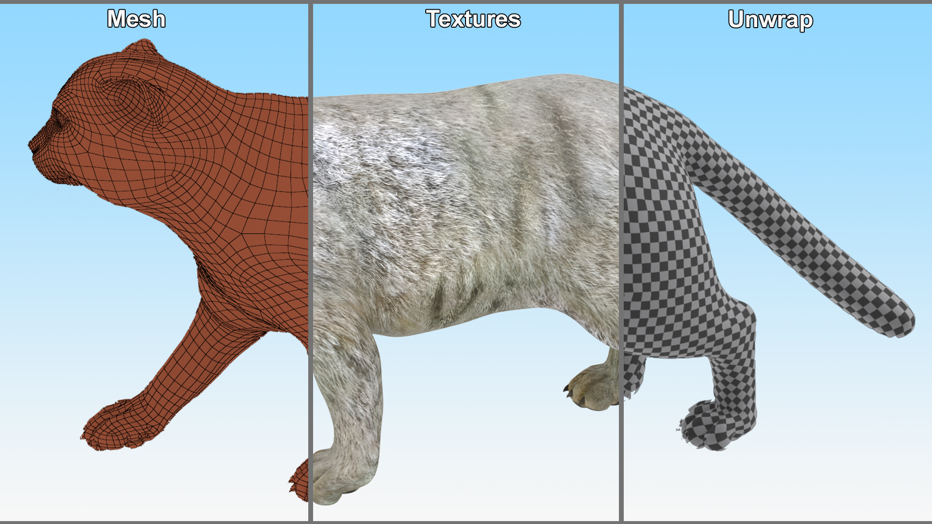 3D model Manul Cat is Walking