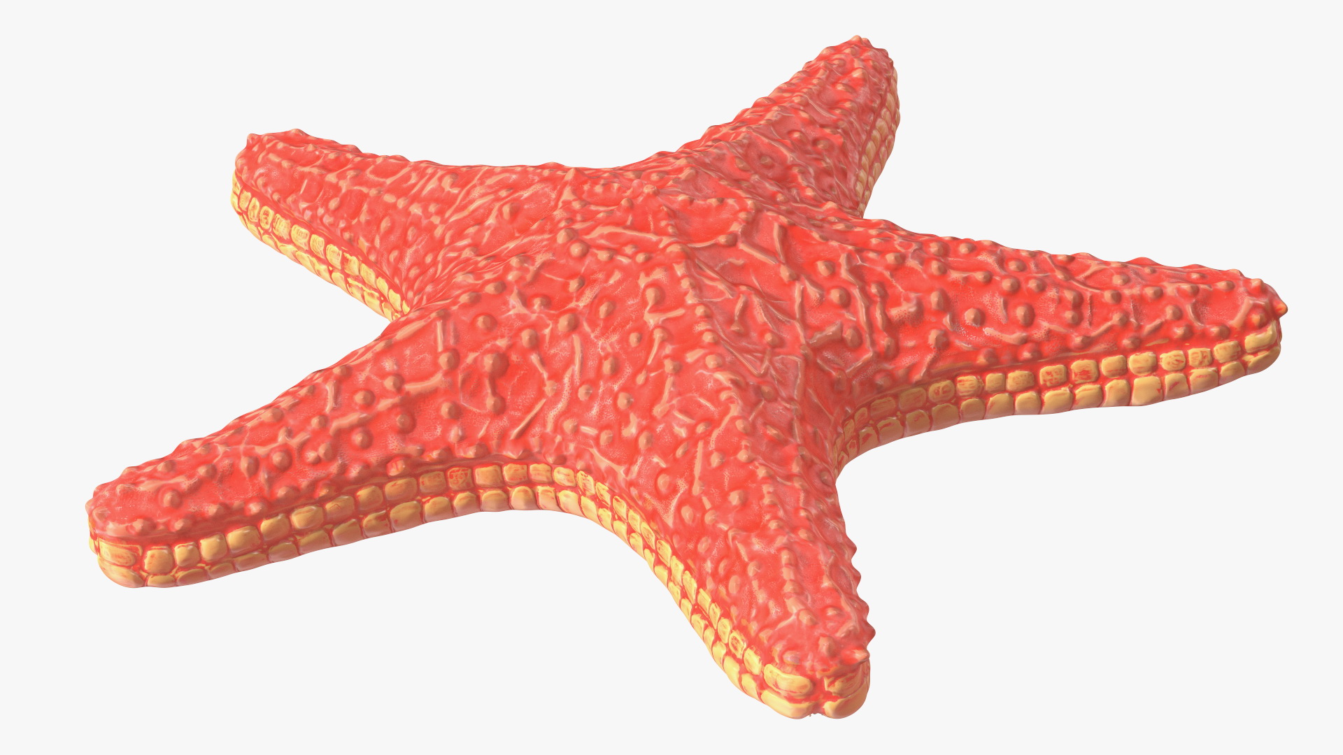 3D Starfish Red Fur