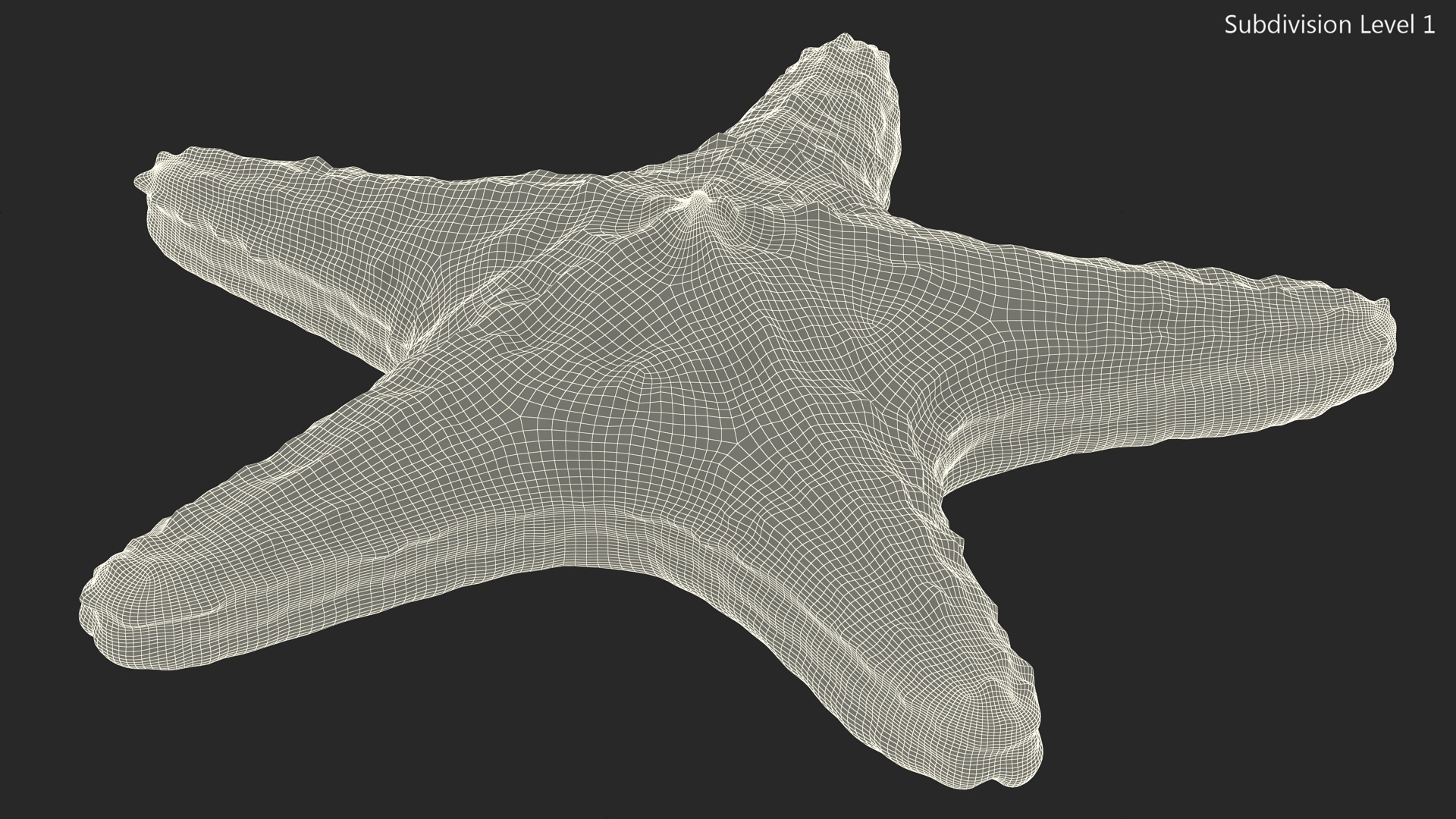 3D Starfish Red Fur
