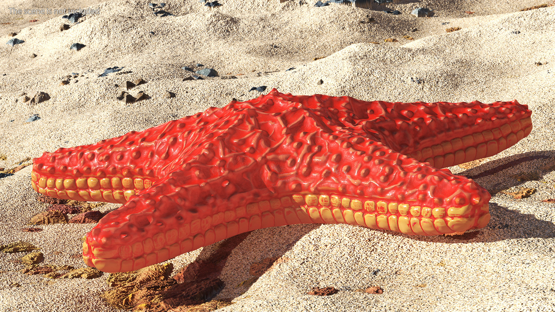 3D Starfish Red Fur