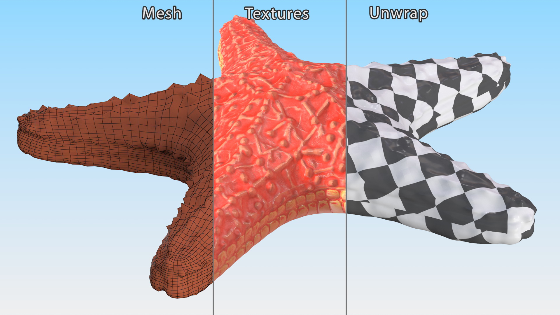 3D Starfish Red Fur
