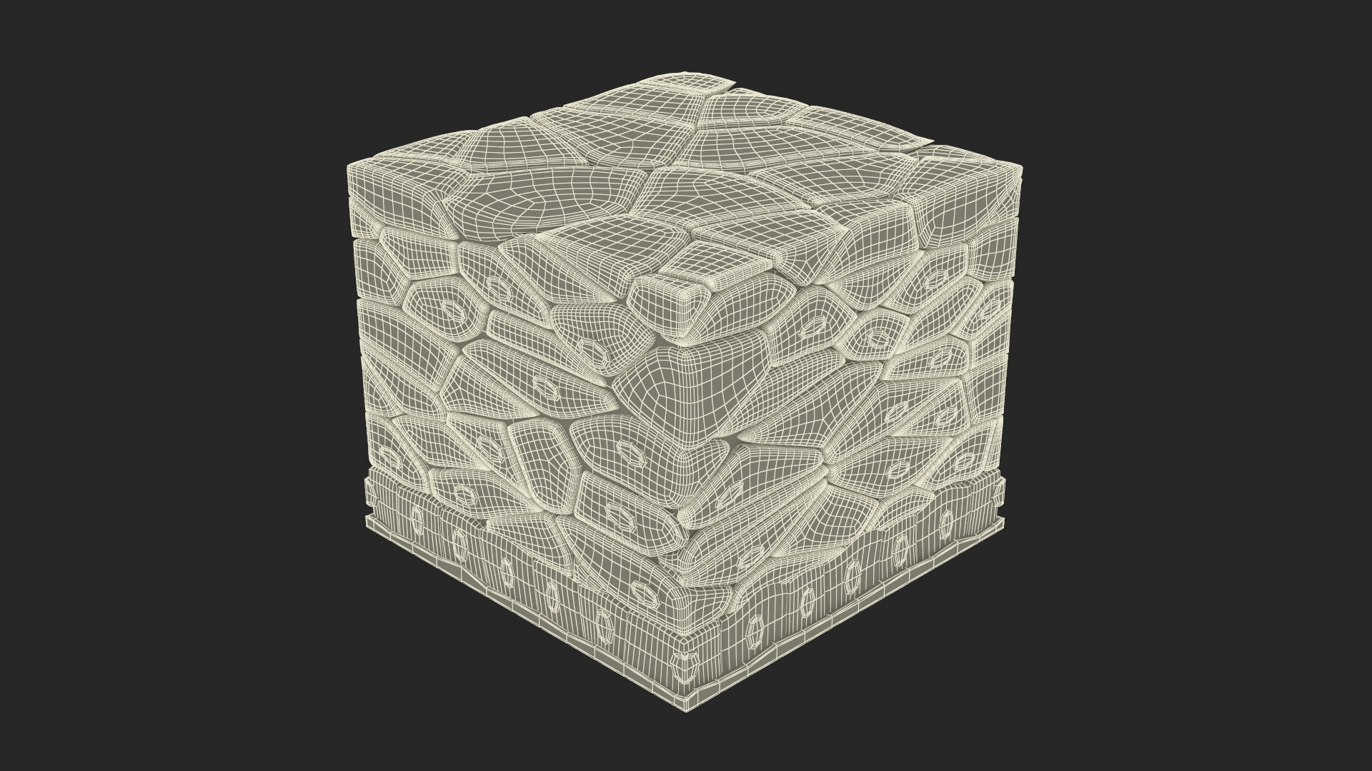3D Stratified Epithelium