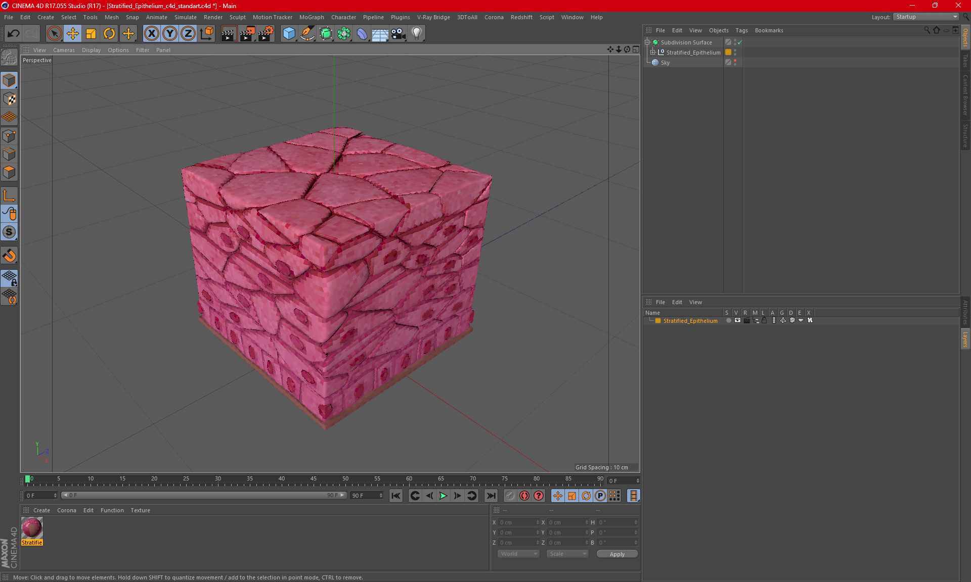 3D Stratified Epithelium