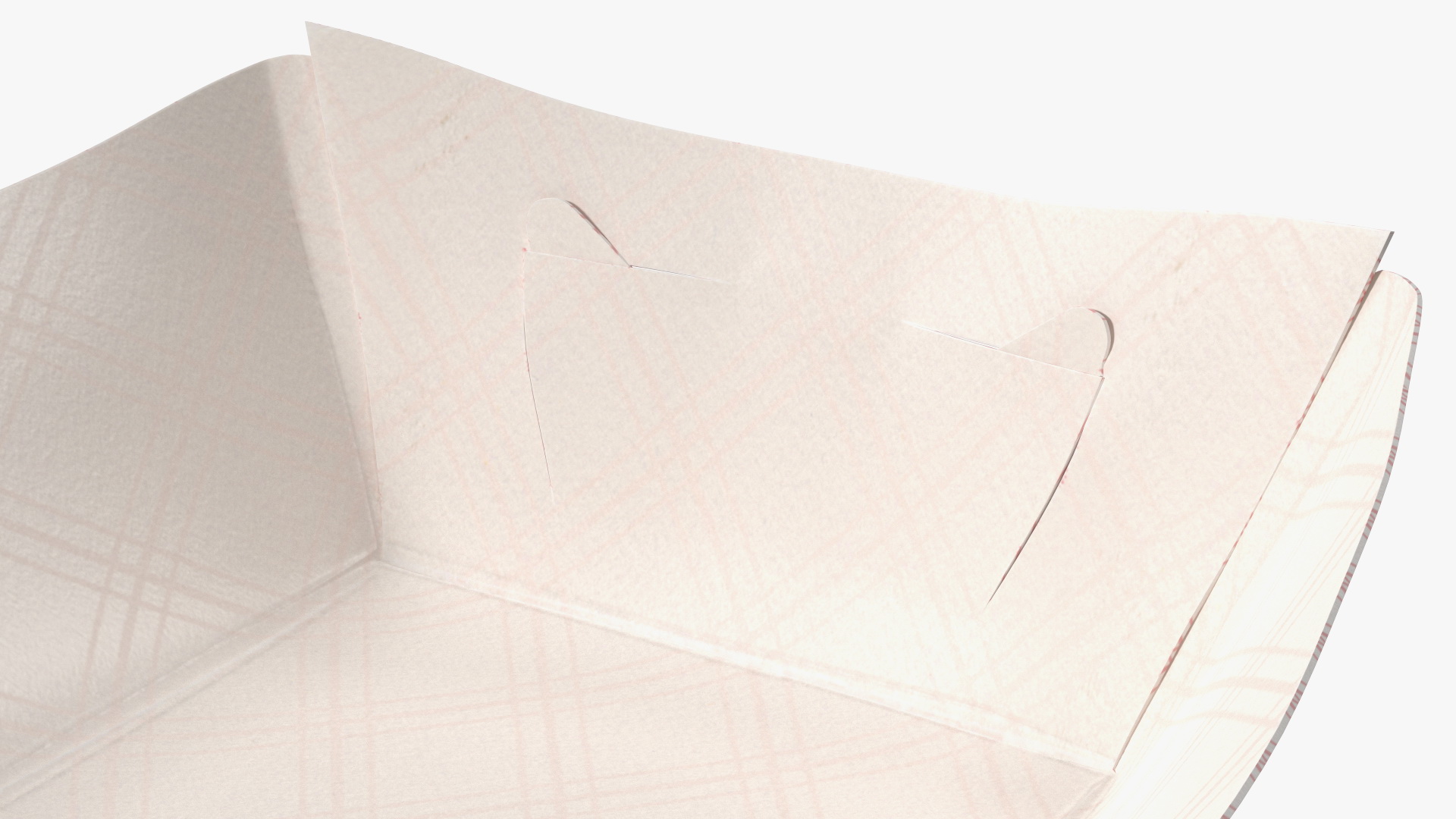 Paper Food Boat Red Checker 3D