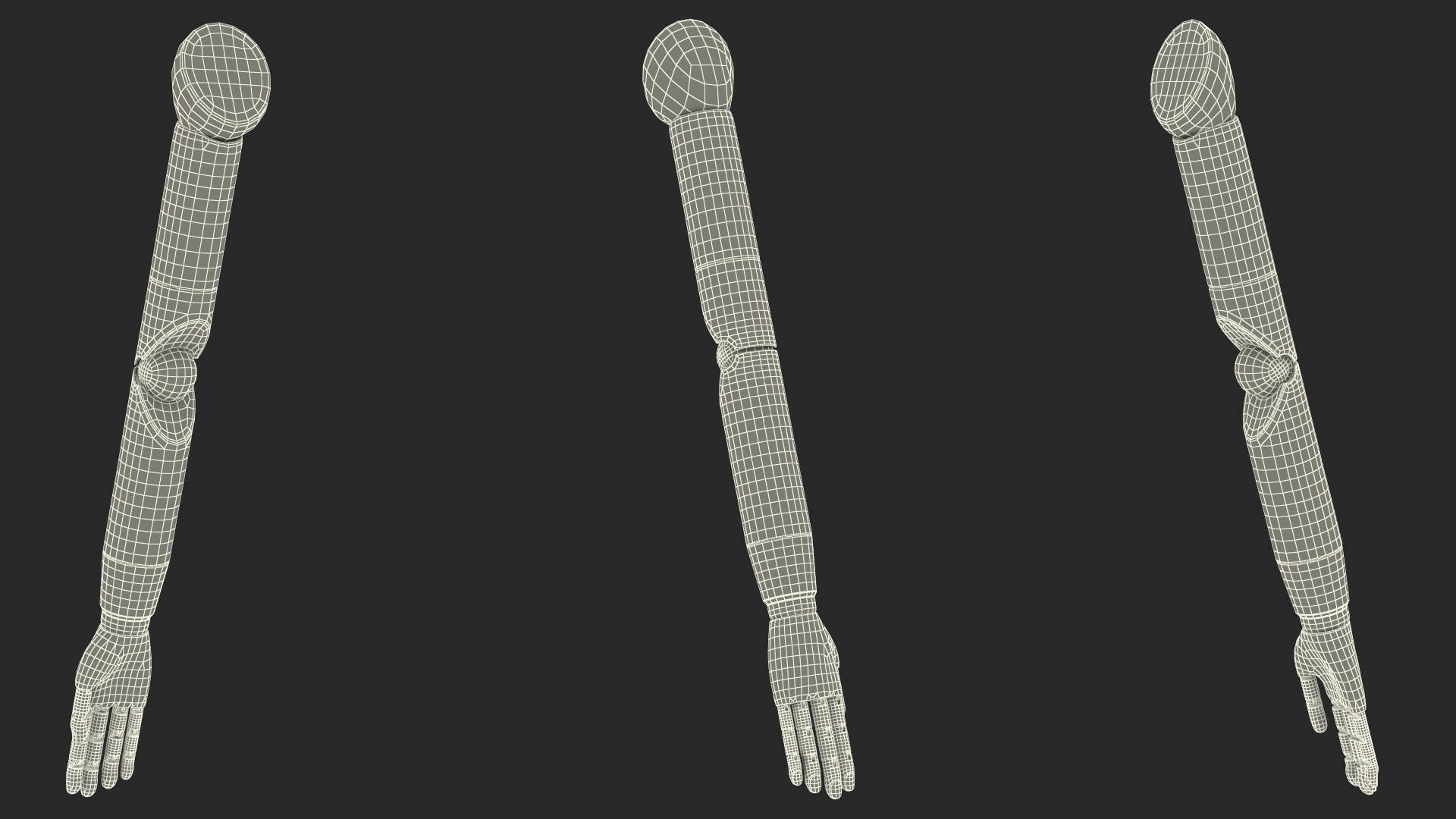 3D Mannequin Wooden Hand Rigged model